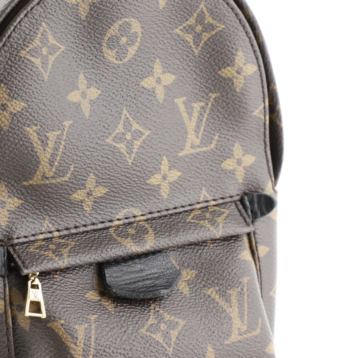 Palm Springs Backpack Monogram Canvas Mini