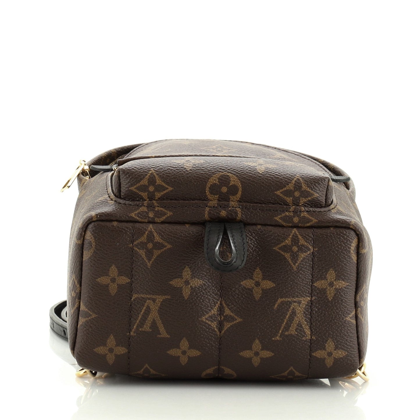 Palm Springs Backpack Monogram Canvas Mini