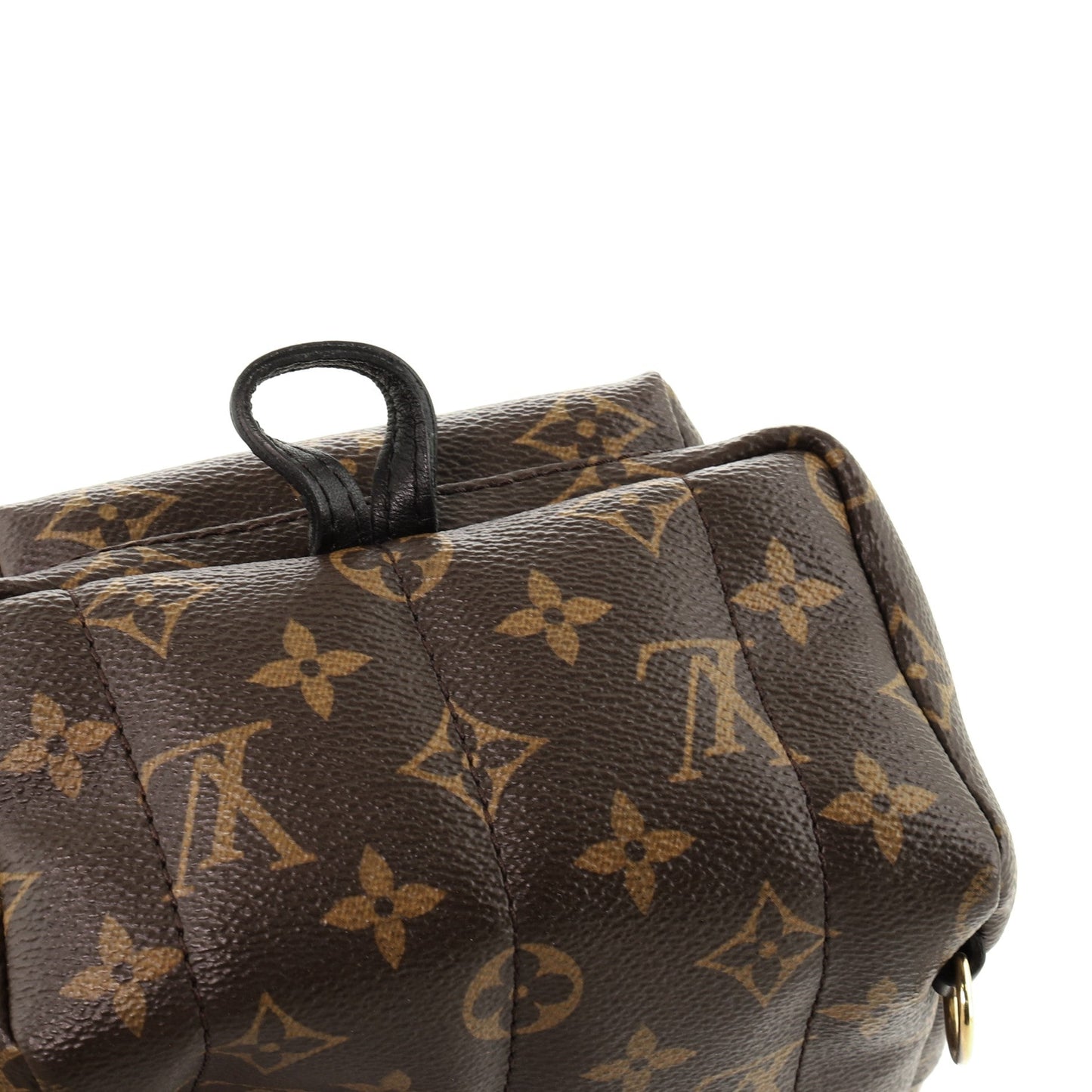 Palm Springs Backpack Monogram Canvas Mini