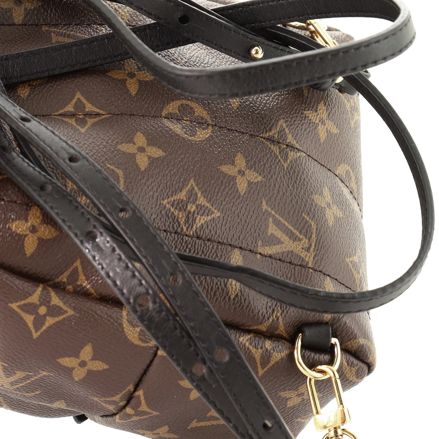Palm Springs Backpack Monogram Canvas Mini
