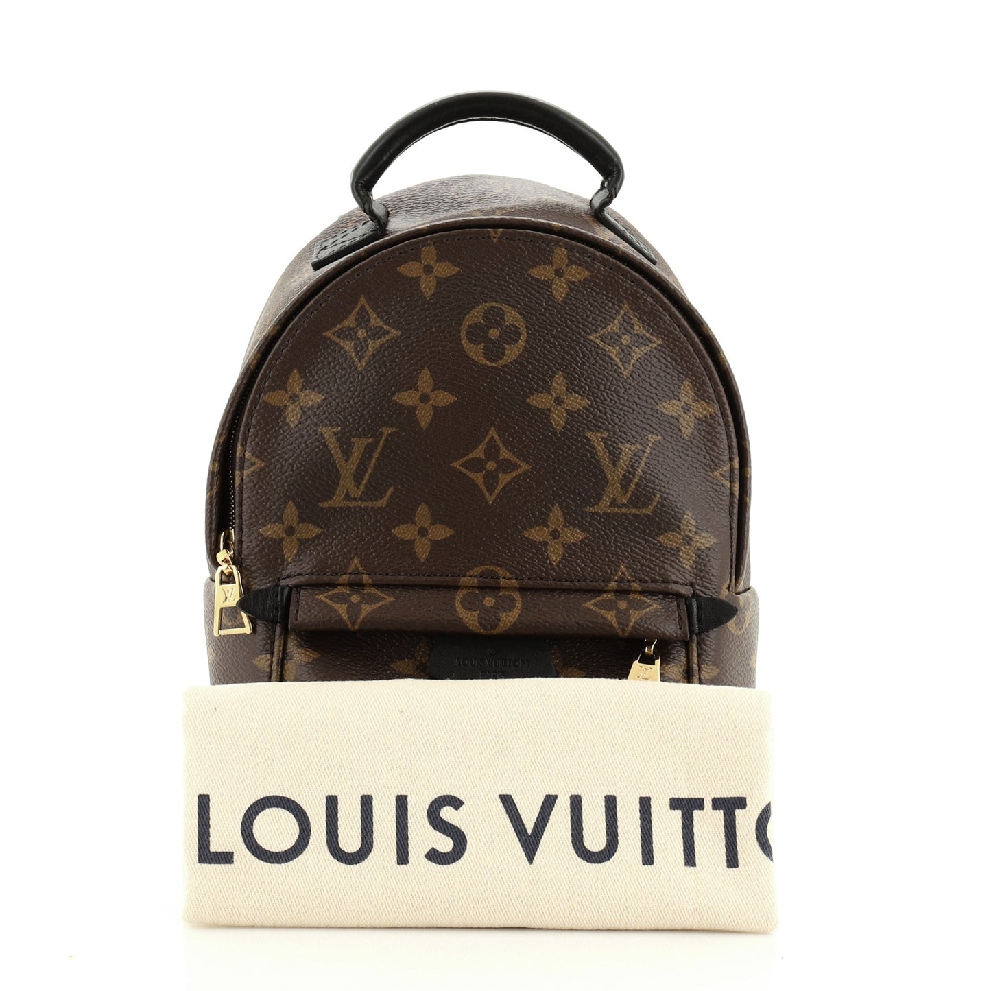 Palm Springs Backpack Monogram Canvas Mini
