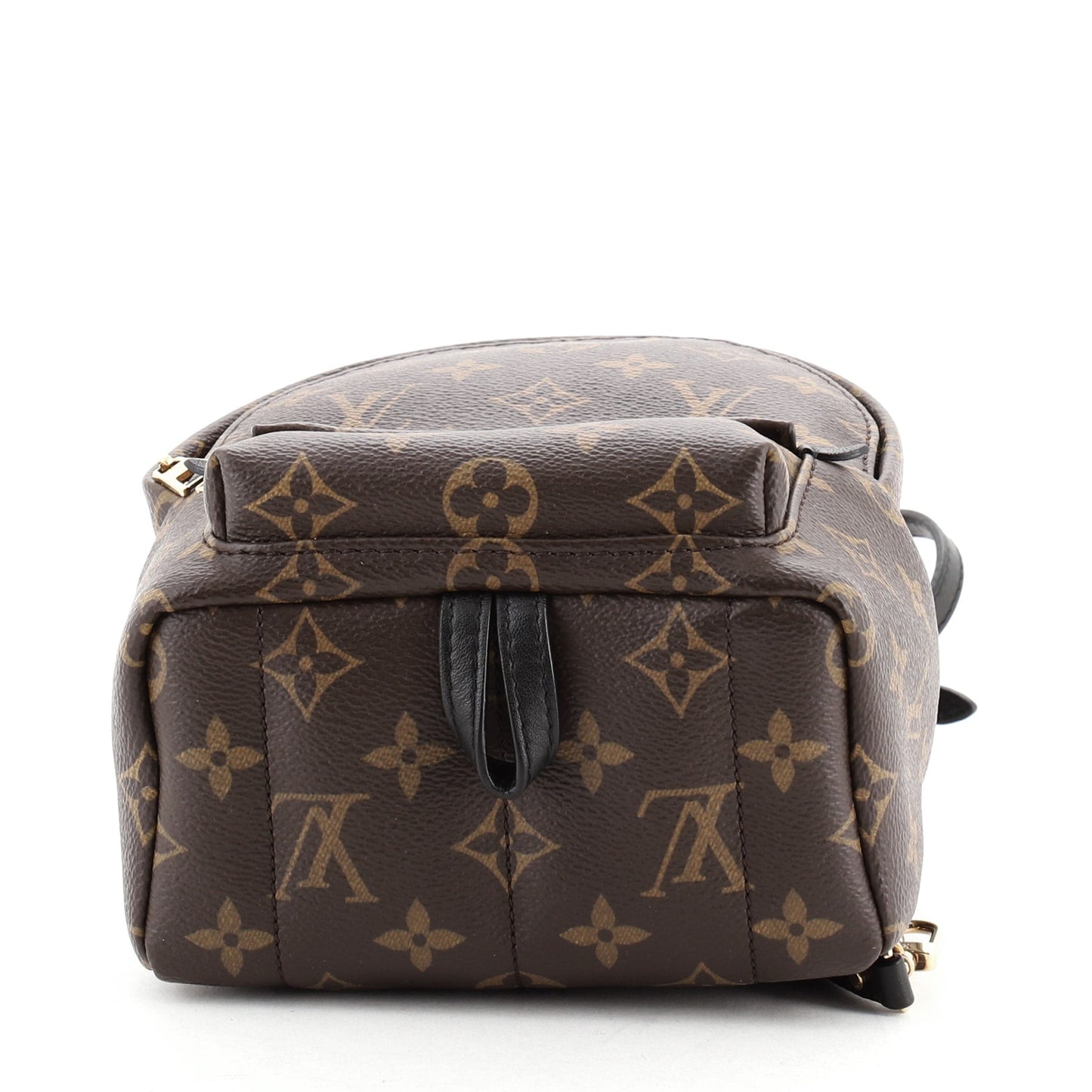 Palm Springs Backpack Monogram Canvas Mini