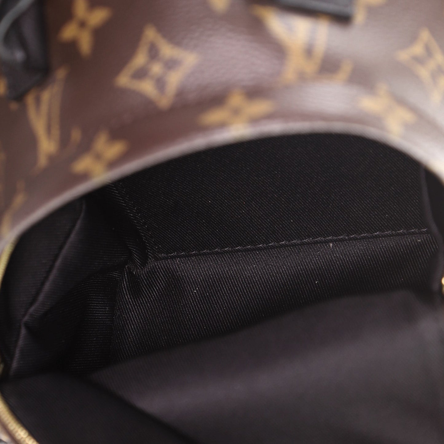 Palm Springs Backpack Monogram Canvas Mini