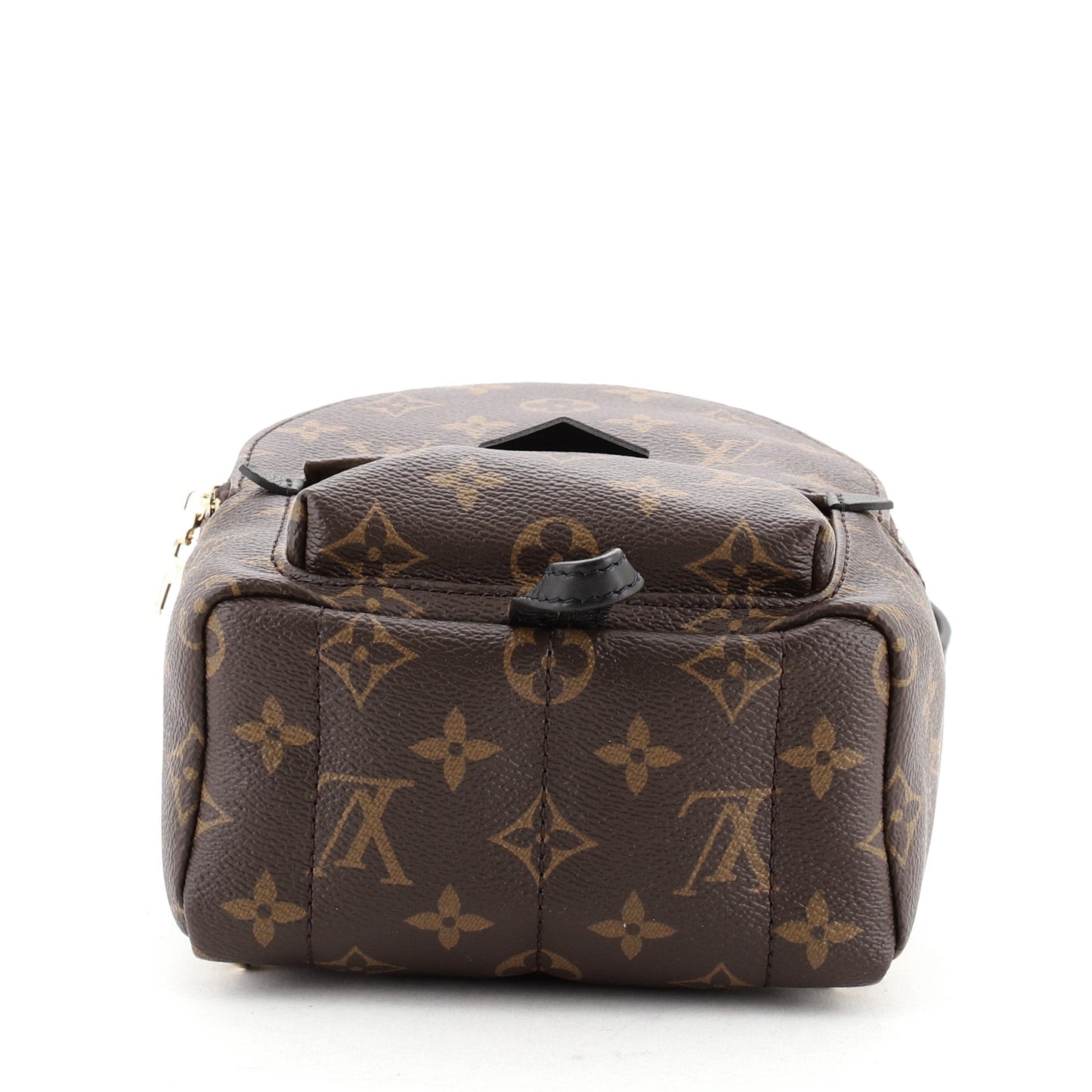 Palm Springs Backpack Monogram Canvas Mini