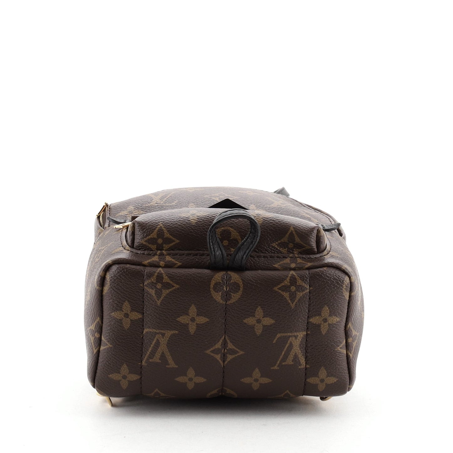 Palm Springs Backpack Monogram Canvas Mini