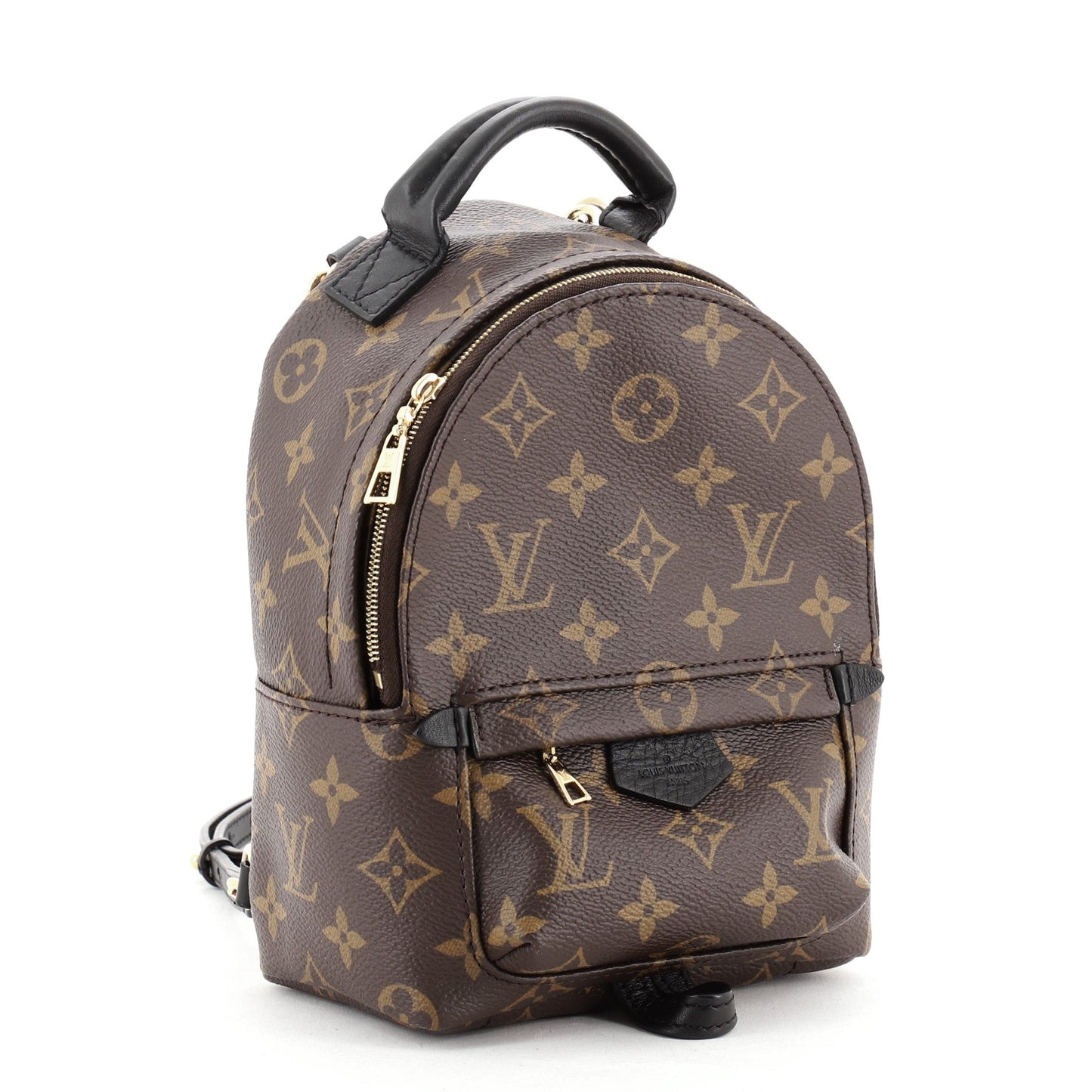 Palm Springs Backpack Monogram Canvas Mini