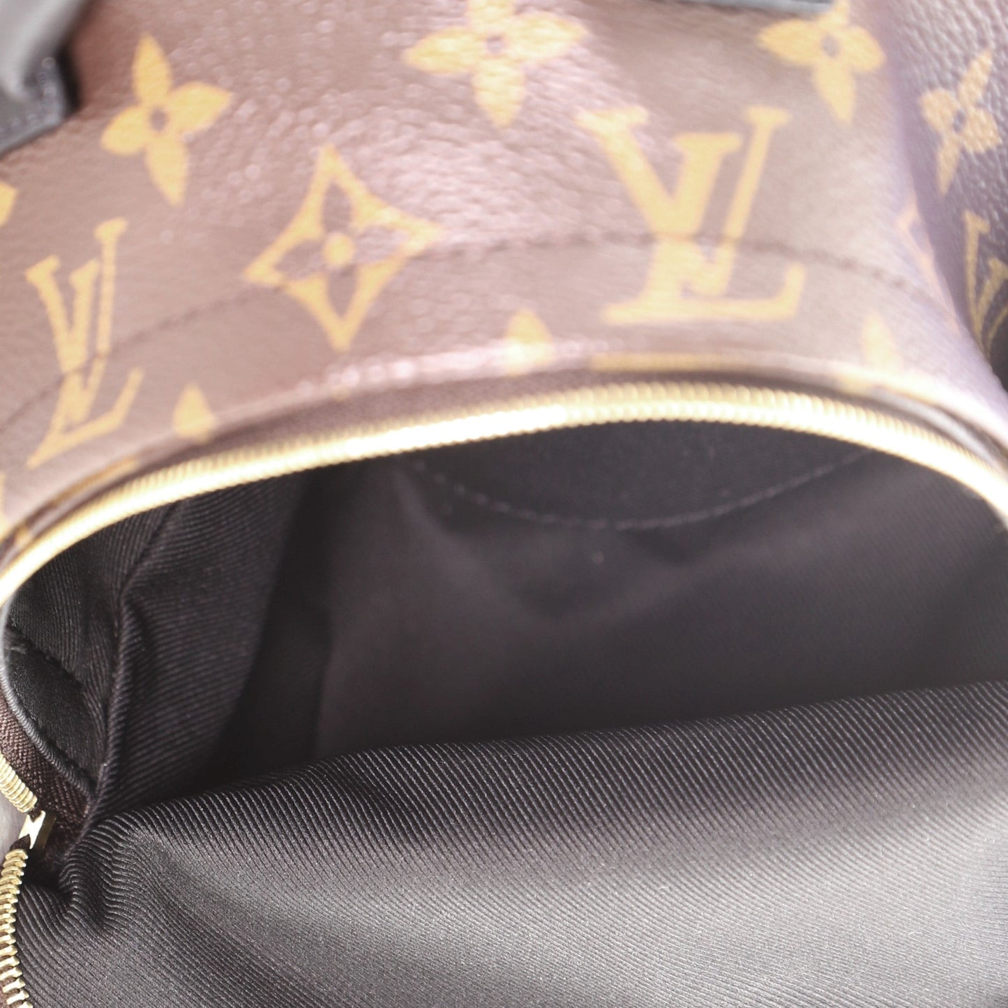 Palm Springs Backpack Monogram Canvas Mini