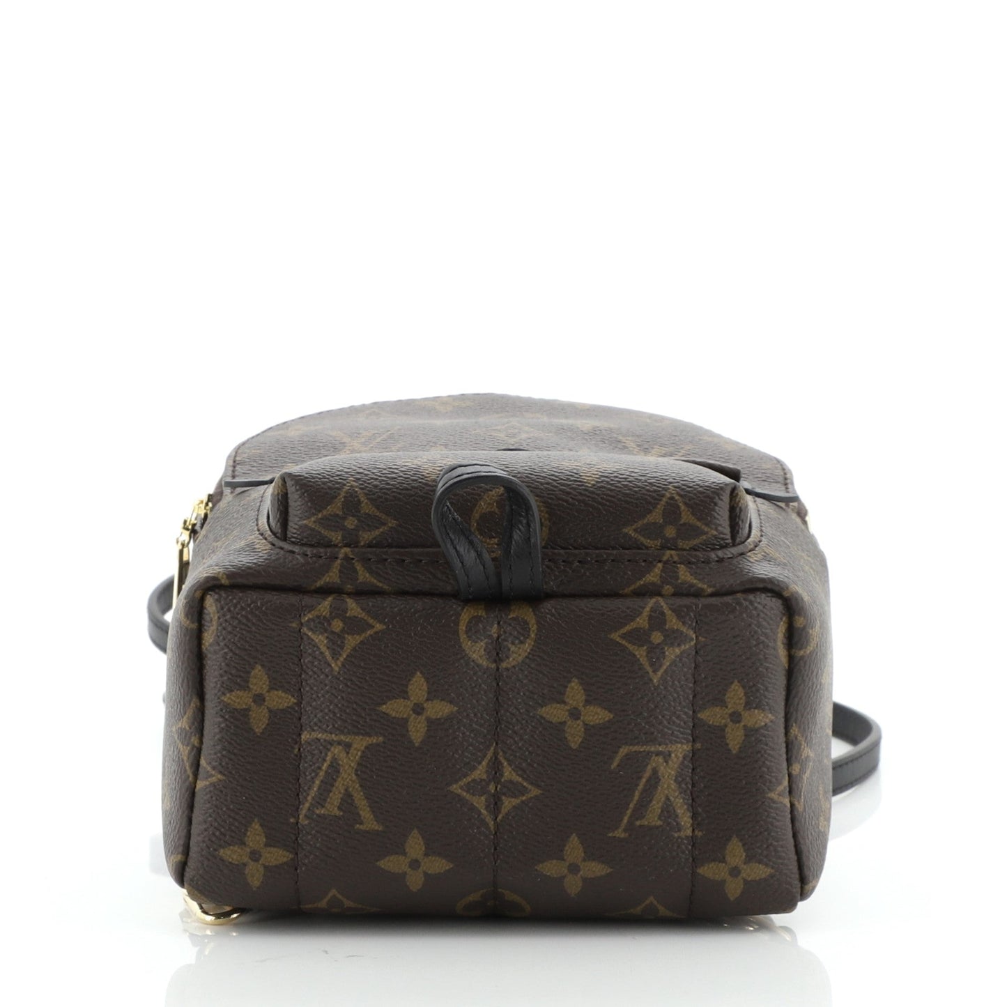 Palm Springs Backpack Monogram Canvas Mini