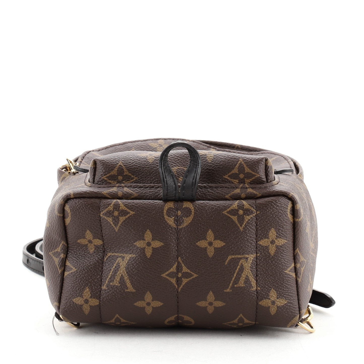 Palm Springs Backpack Monogram Canvas Mini
