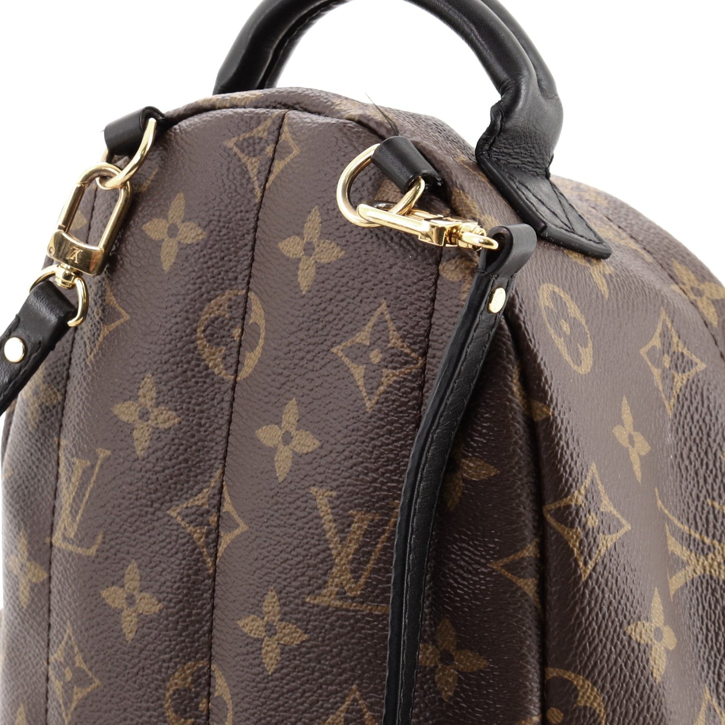 Palm Springs Backpack Monogram Canvas Mini