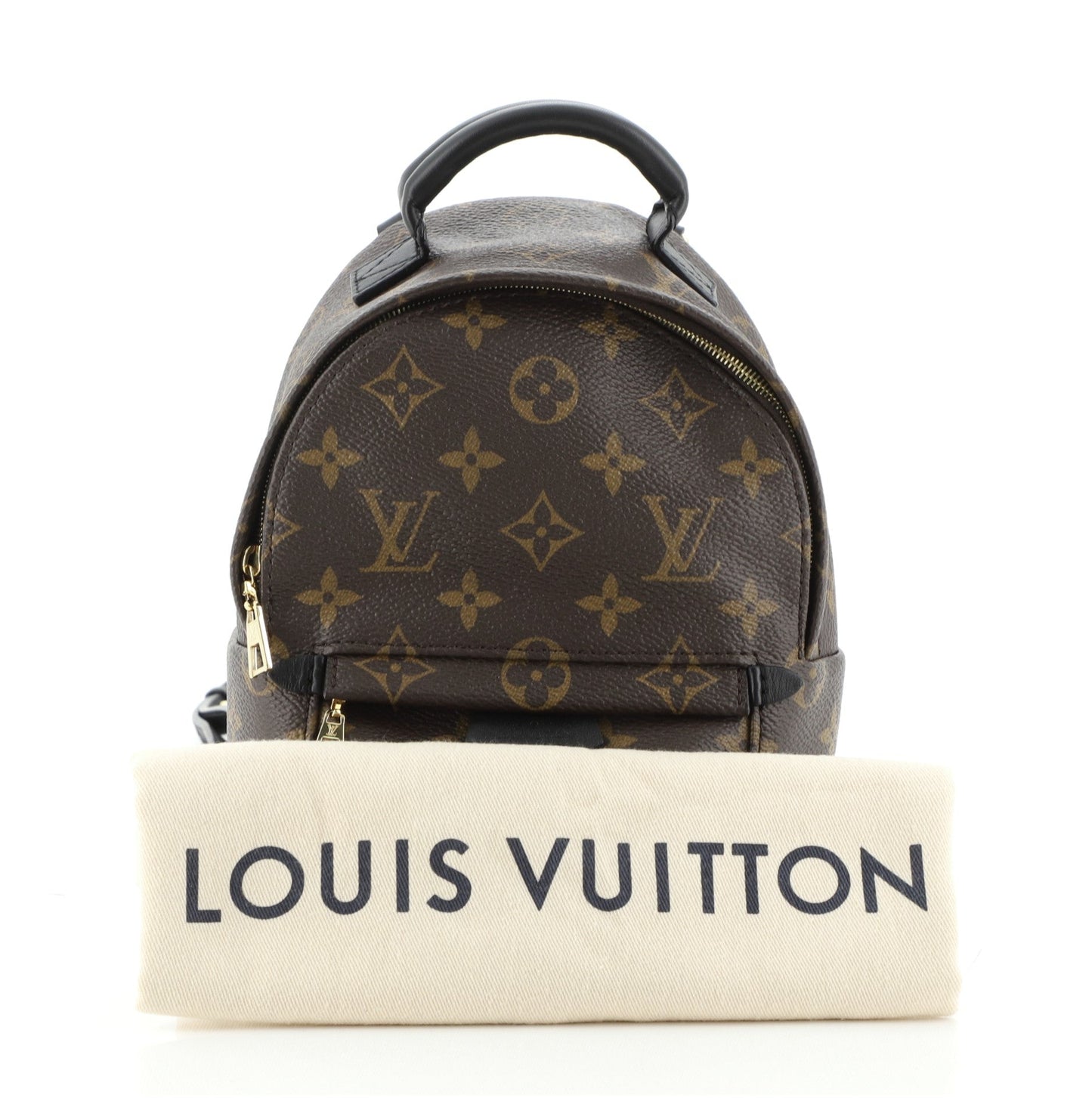Palm Springs Backpack Monogram Canvas Mini