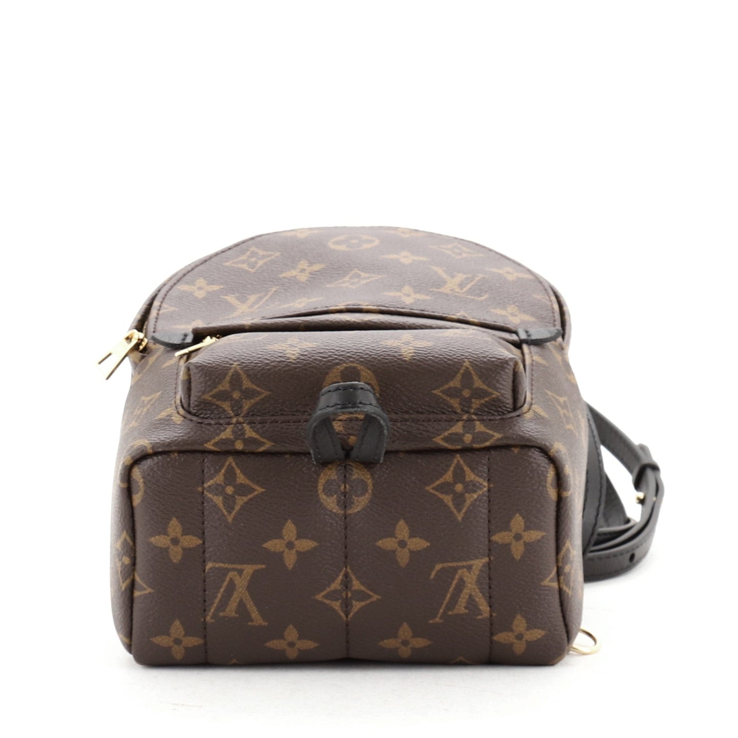 Palm Springs Backpack Monogram Canvas Mini