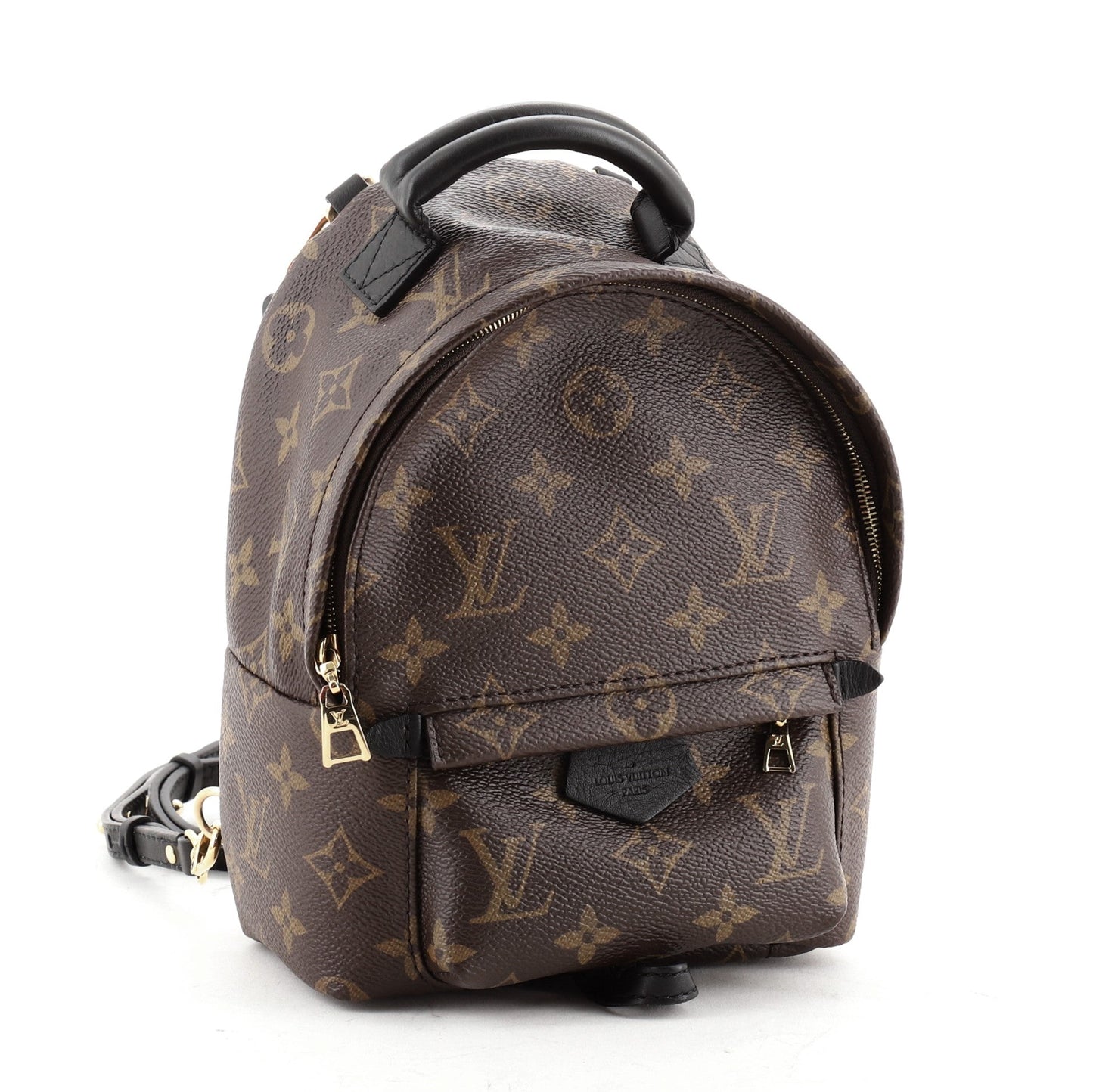 Palm Springs Backpack Monogram Canvas Mini