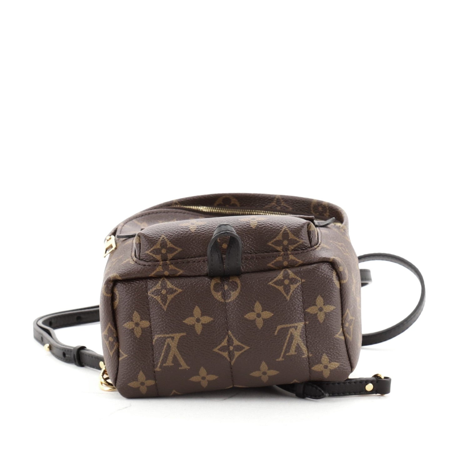 Palm Springs Backpack Monogram Canvas Mini