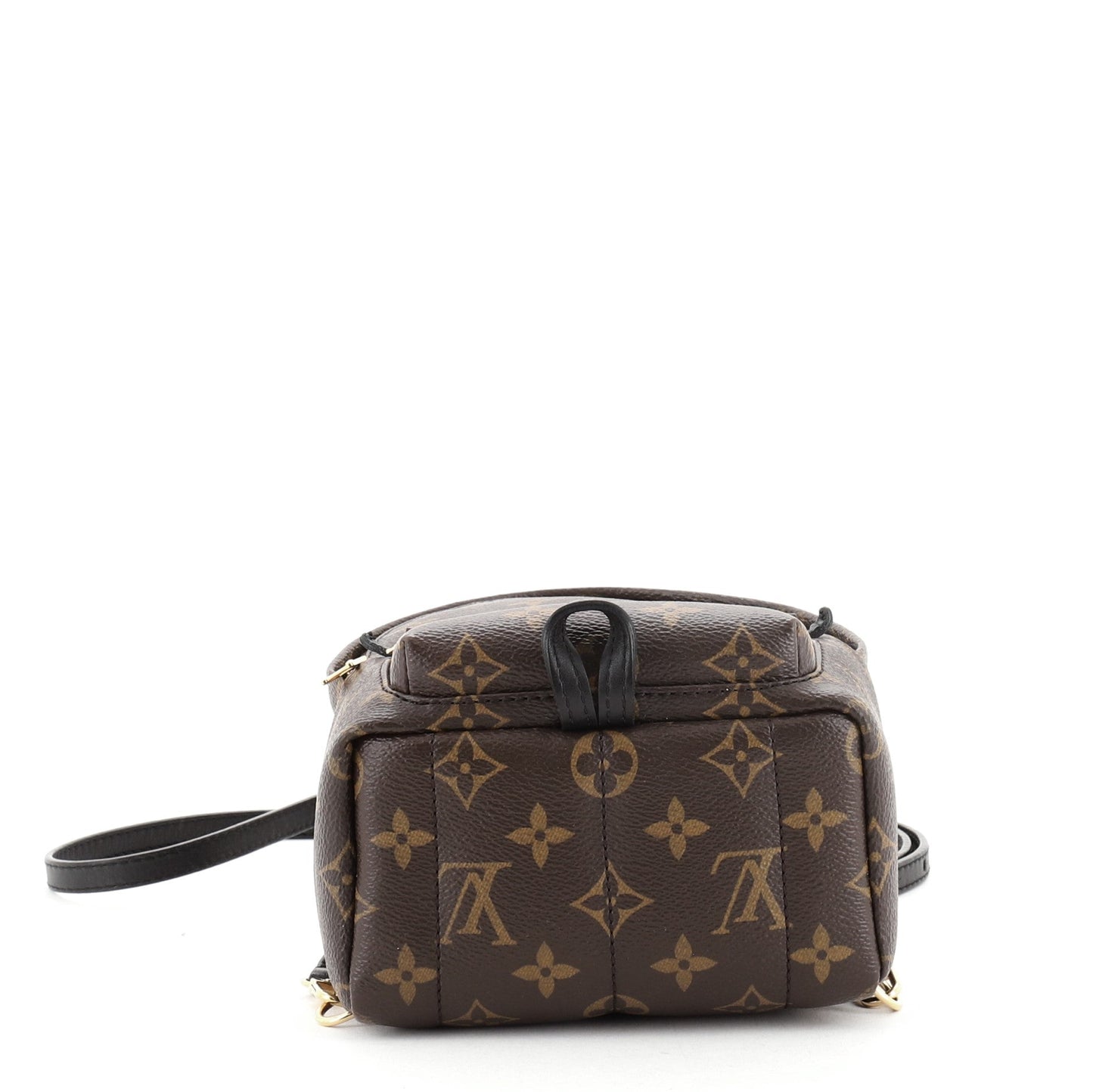 Palm Springs Backpack Monogram Canvas Mini