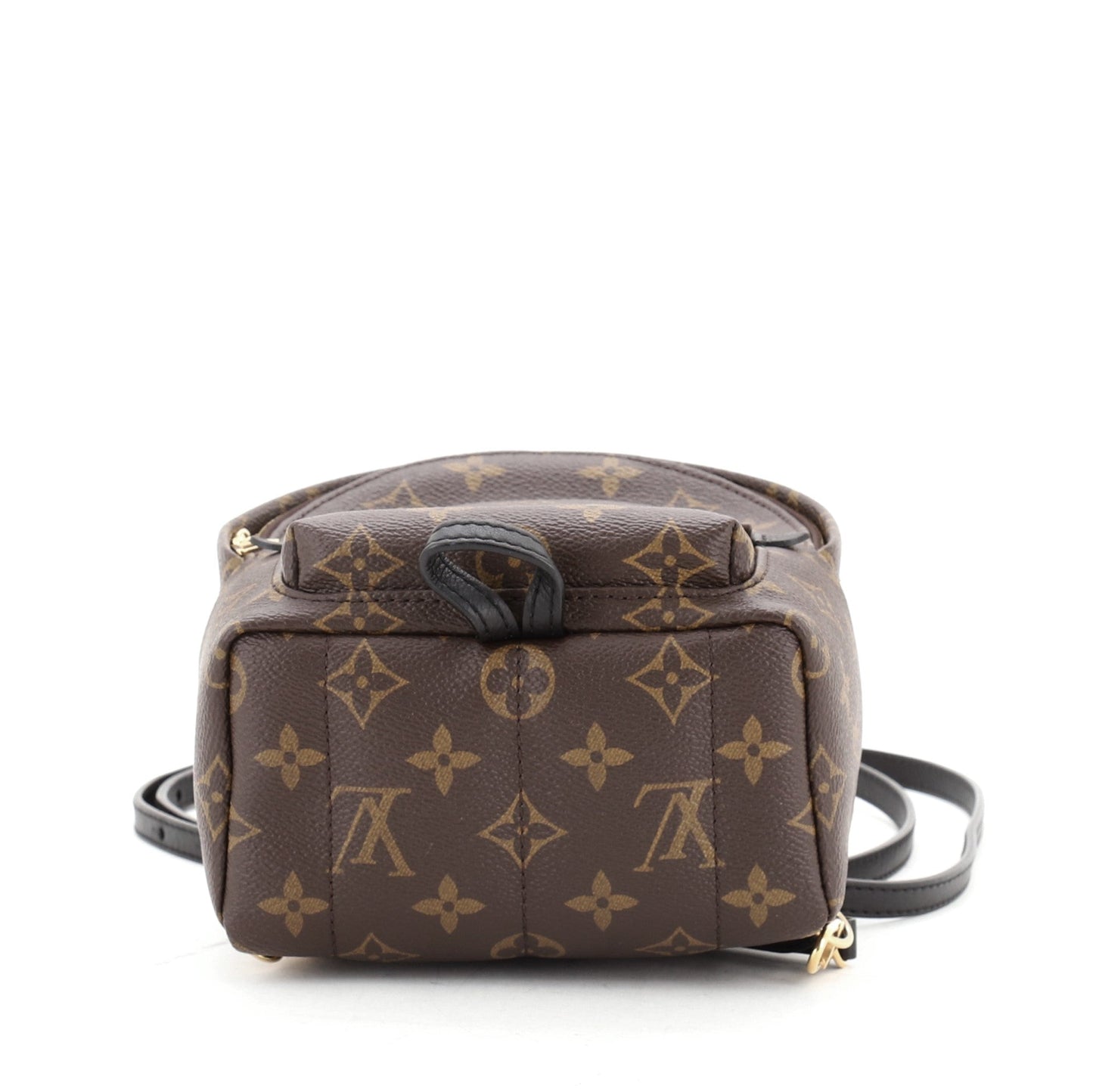 Palm Springs Backpack Monogram Canvas Mini