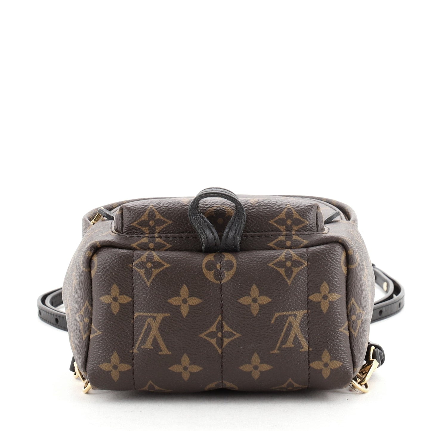 Palm Springs Backpack Monogram Canvas Mini