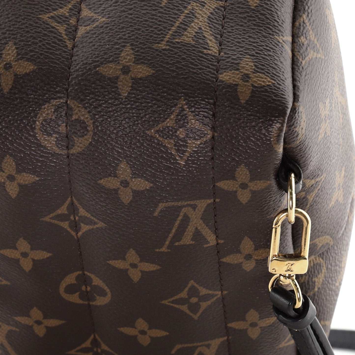Palm Springs Backpack Monogram Canvas Mini