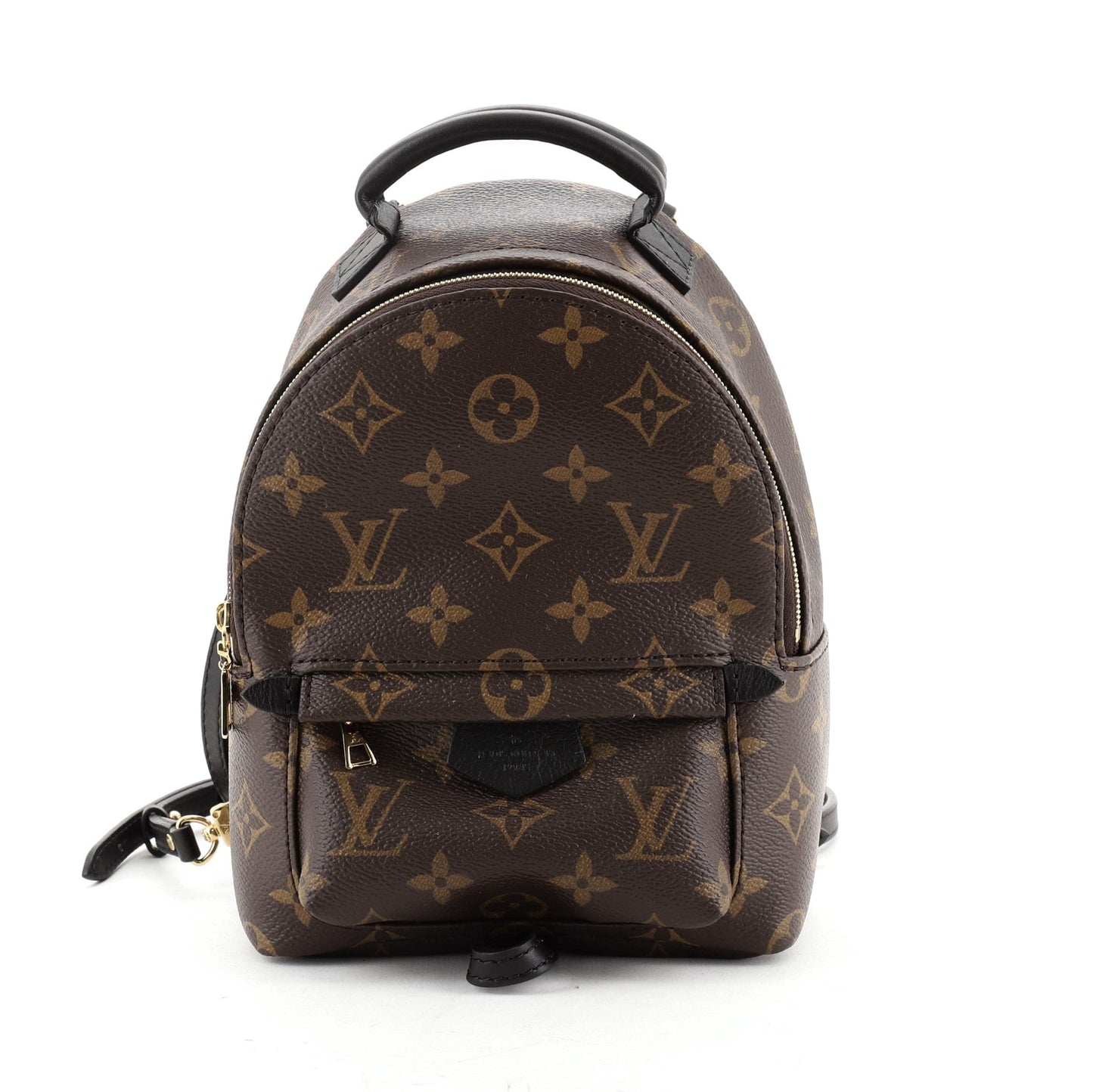 Palm Springs Backpack Monogram Canvas Mini