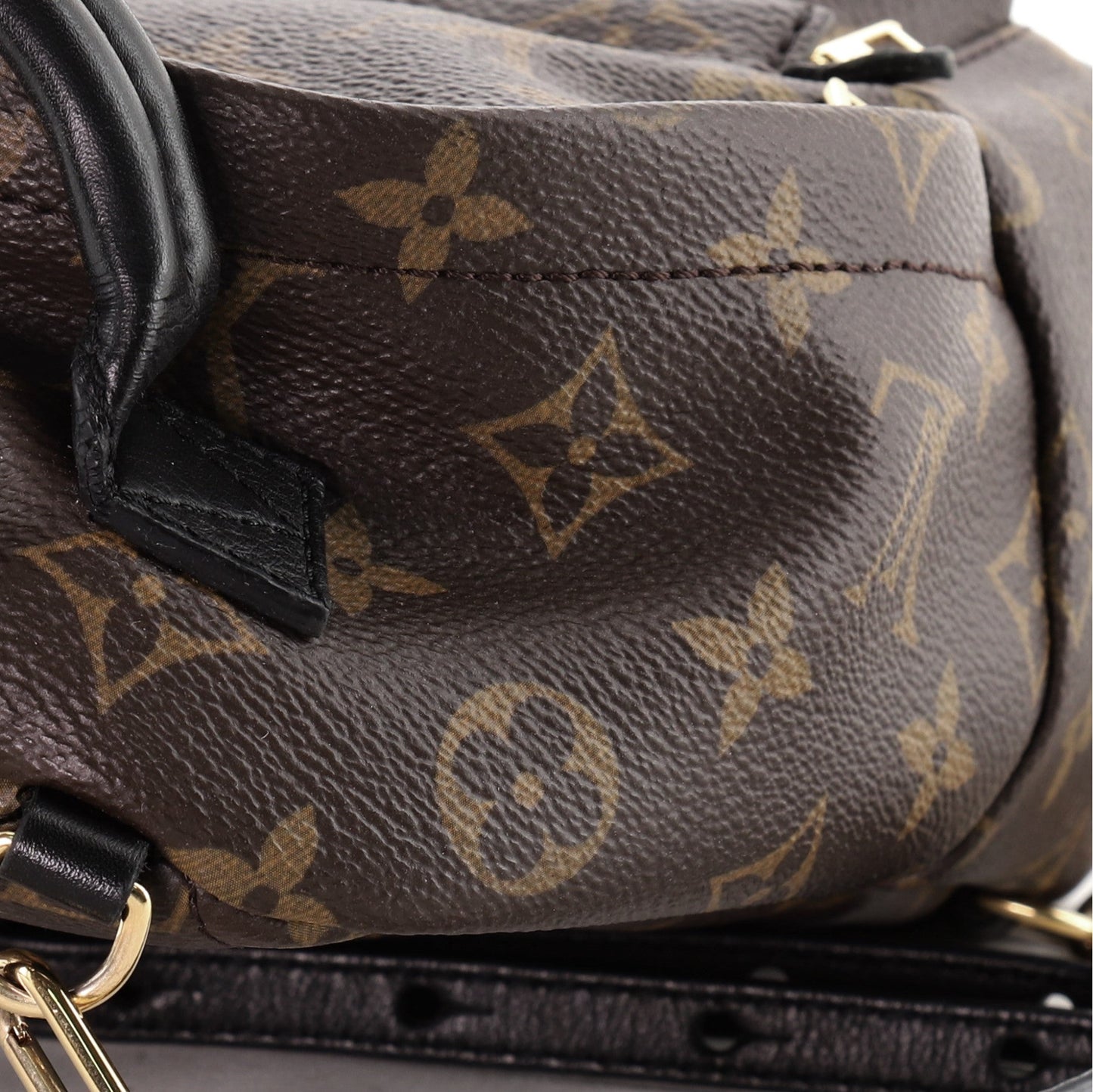 Palm Springs Backpack Monogram Canvas Mini