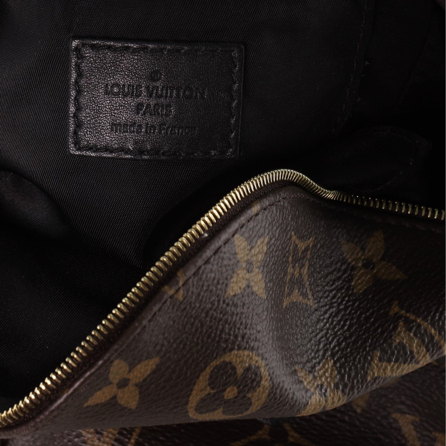 Palm Springs Backpack Monogram Canvas Mini
