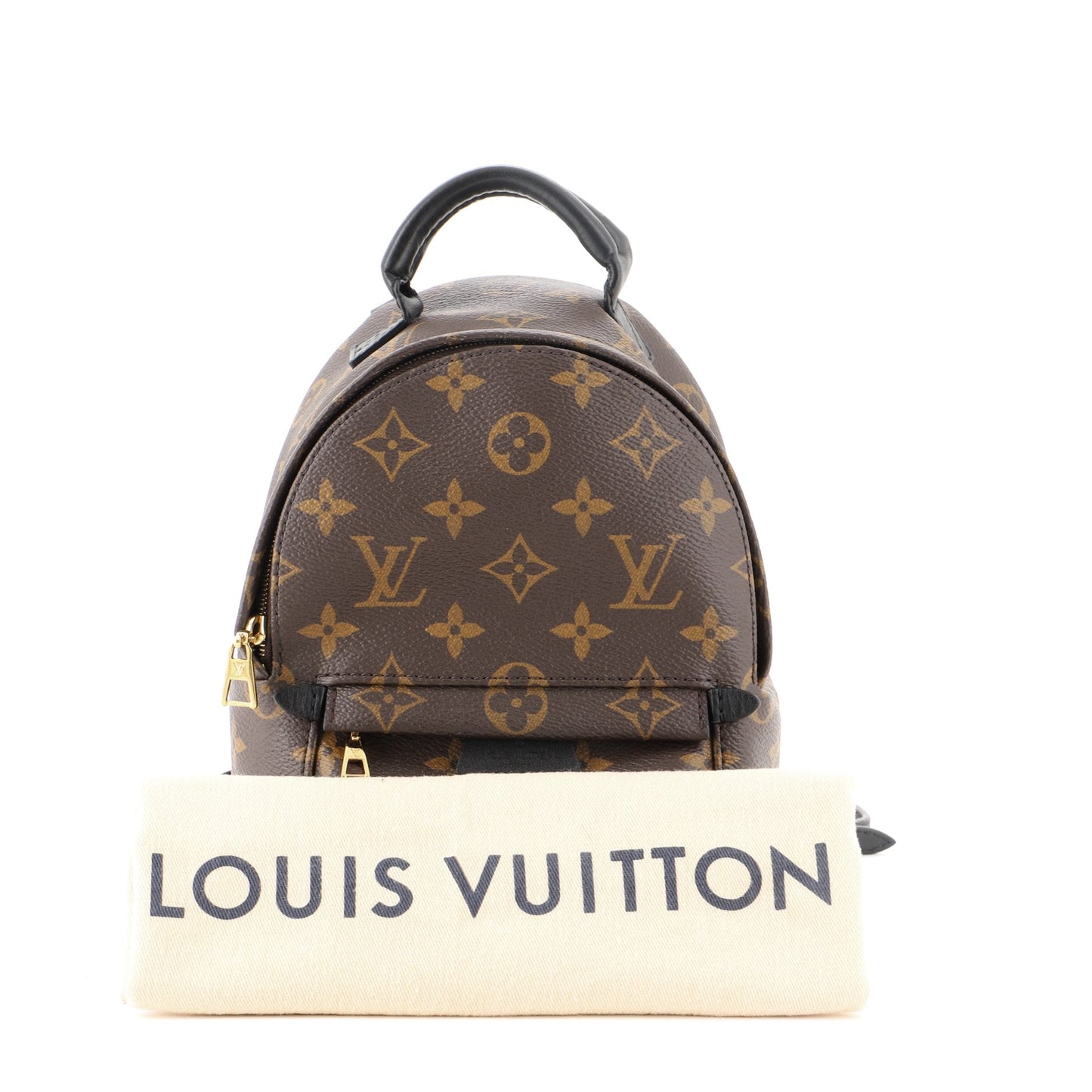 Palm Springs Backpack Monogram Canvas Mini