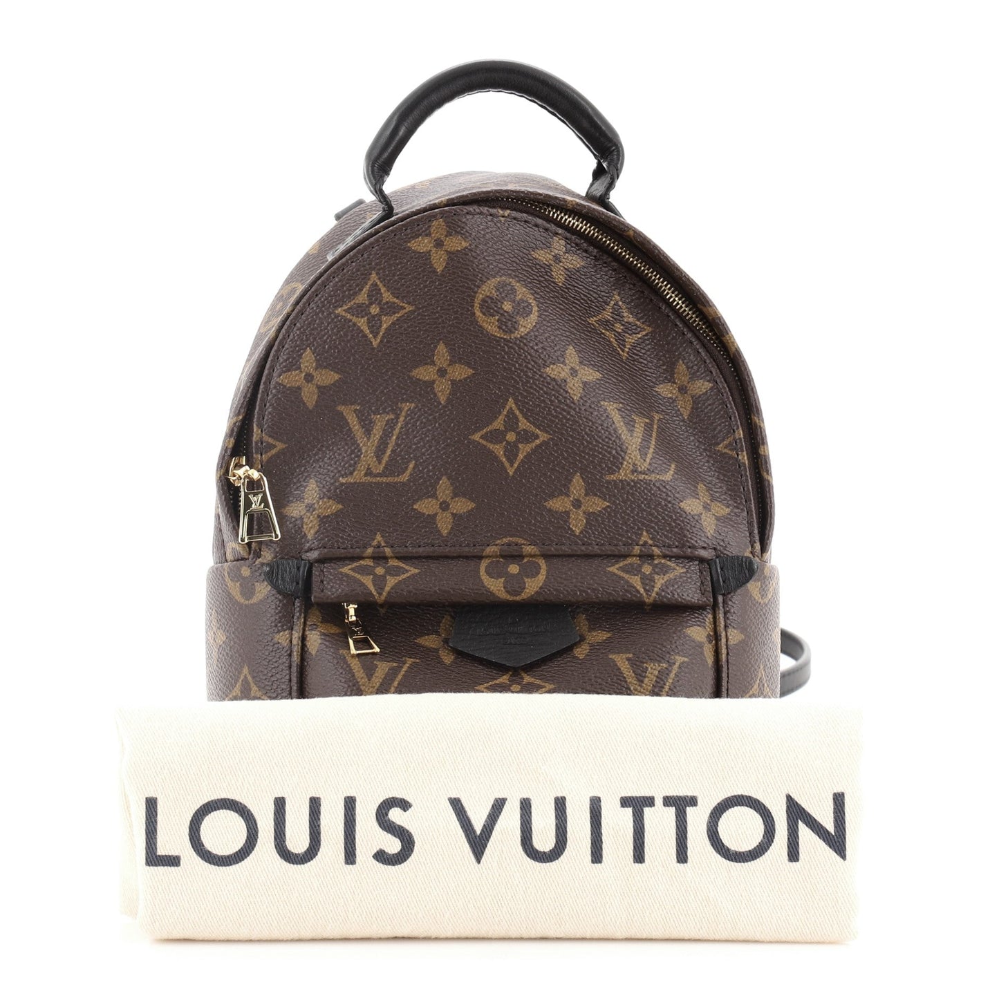 Palm Springs Backpack Monogram Canvas Mini