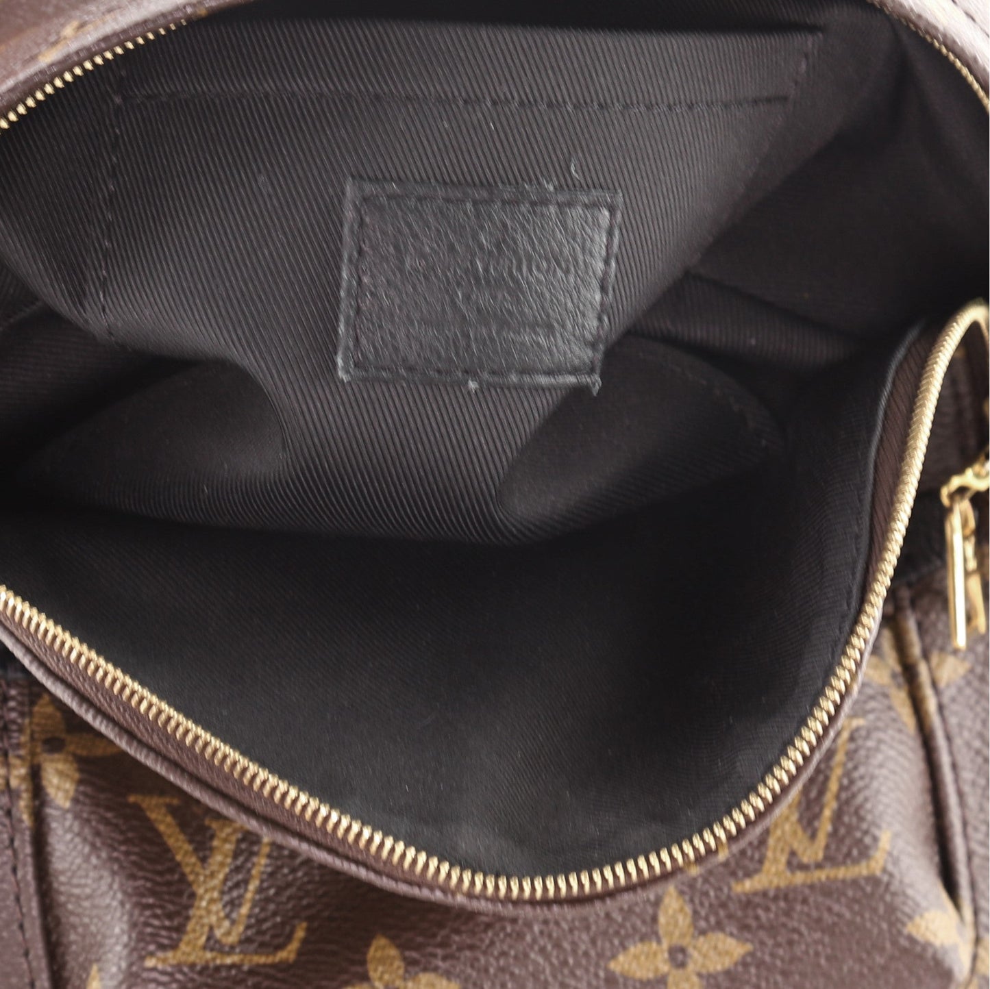 Palm Springs Backpack Monogram Canvas Mini