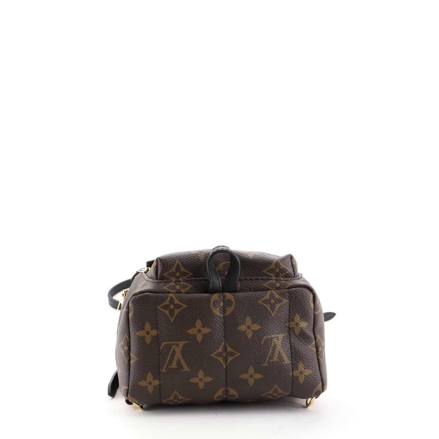Palm Springs Backpack Monogram Canvas Mini