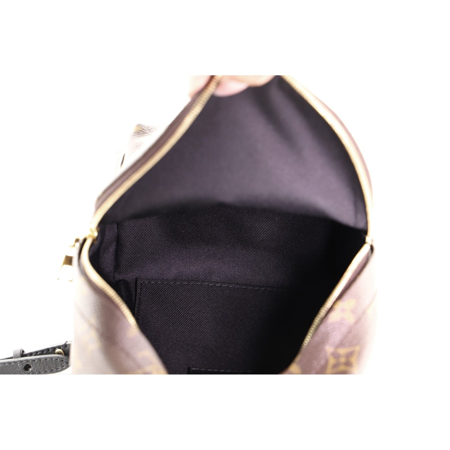 Palm Springs Backpack Monogram Canvas Mini