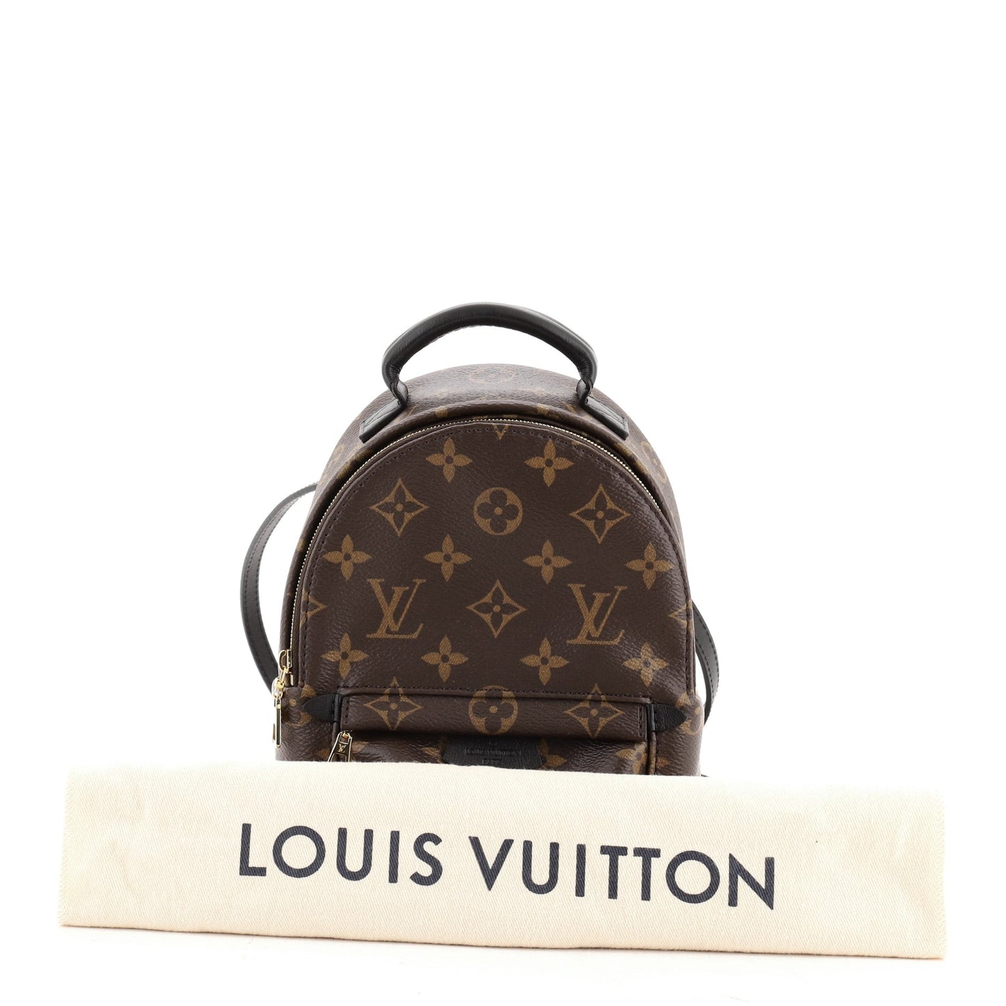 Palm Springs Backpack Monogram Canvas Mini
