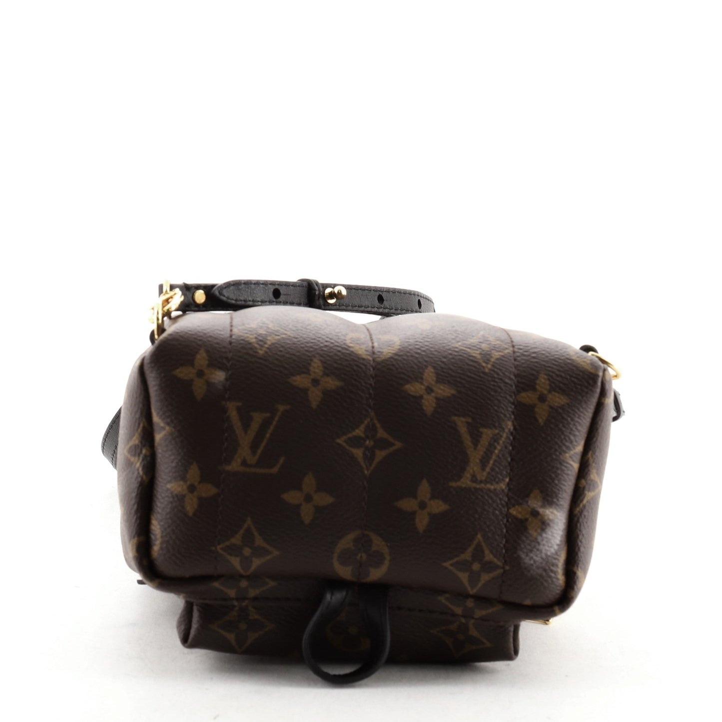 Palm Springs Backpack Monogram Canvas Mini