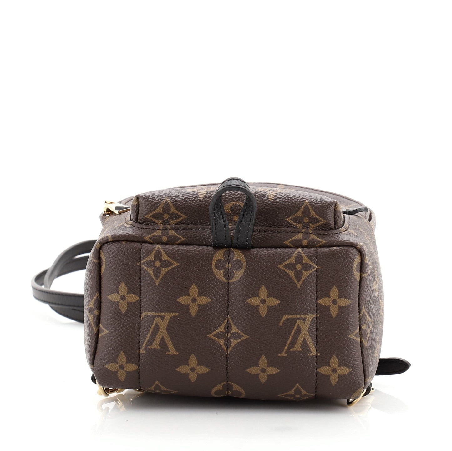 Palm Springs Backpack Monogram Canvas Mini