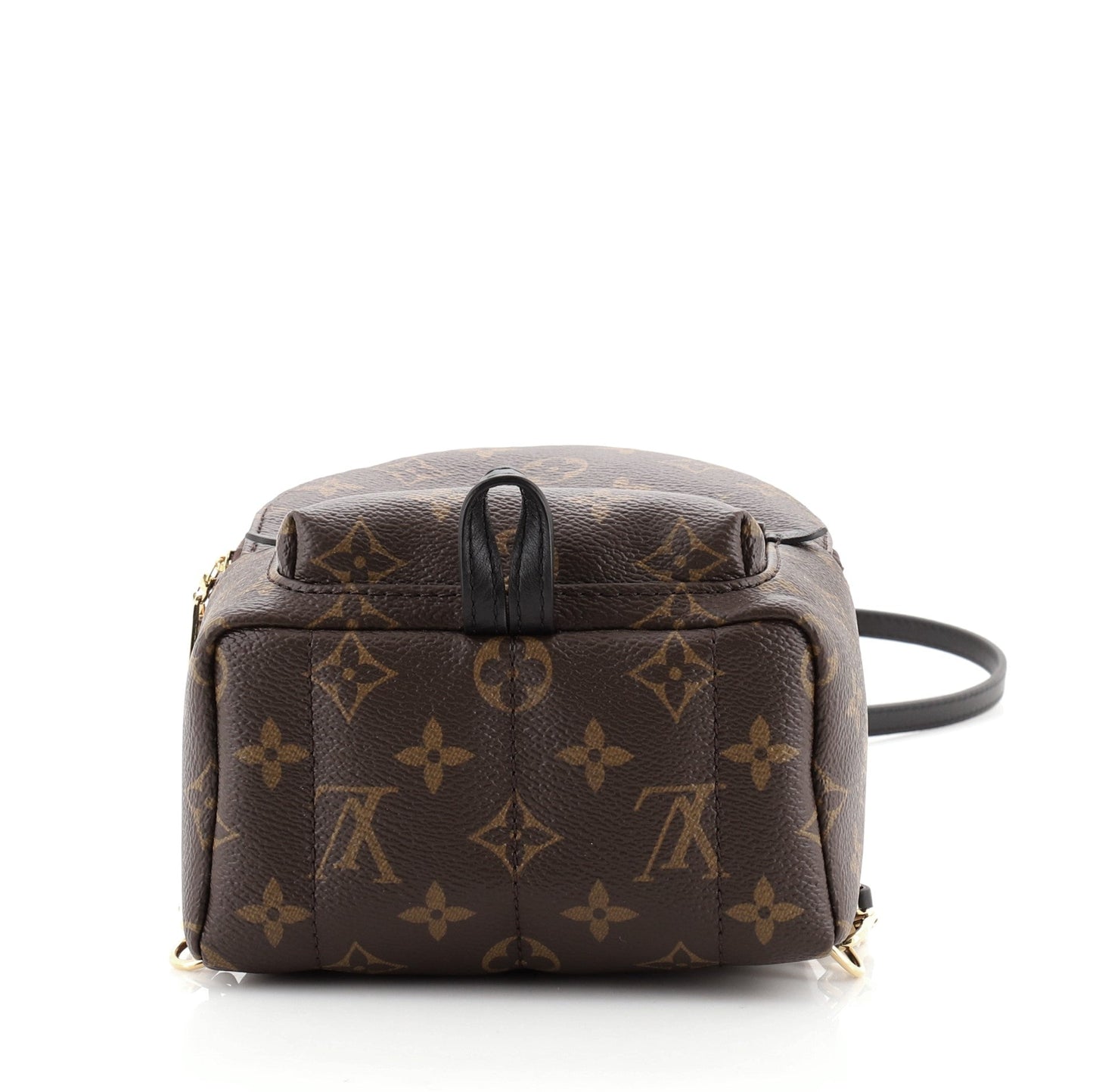 Palm Springs Backpack Monogram Canvas Mini