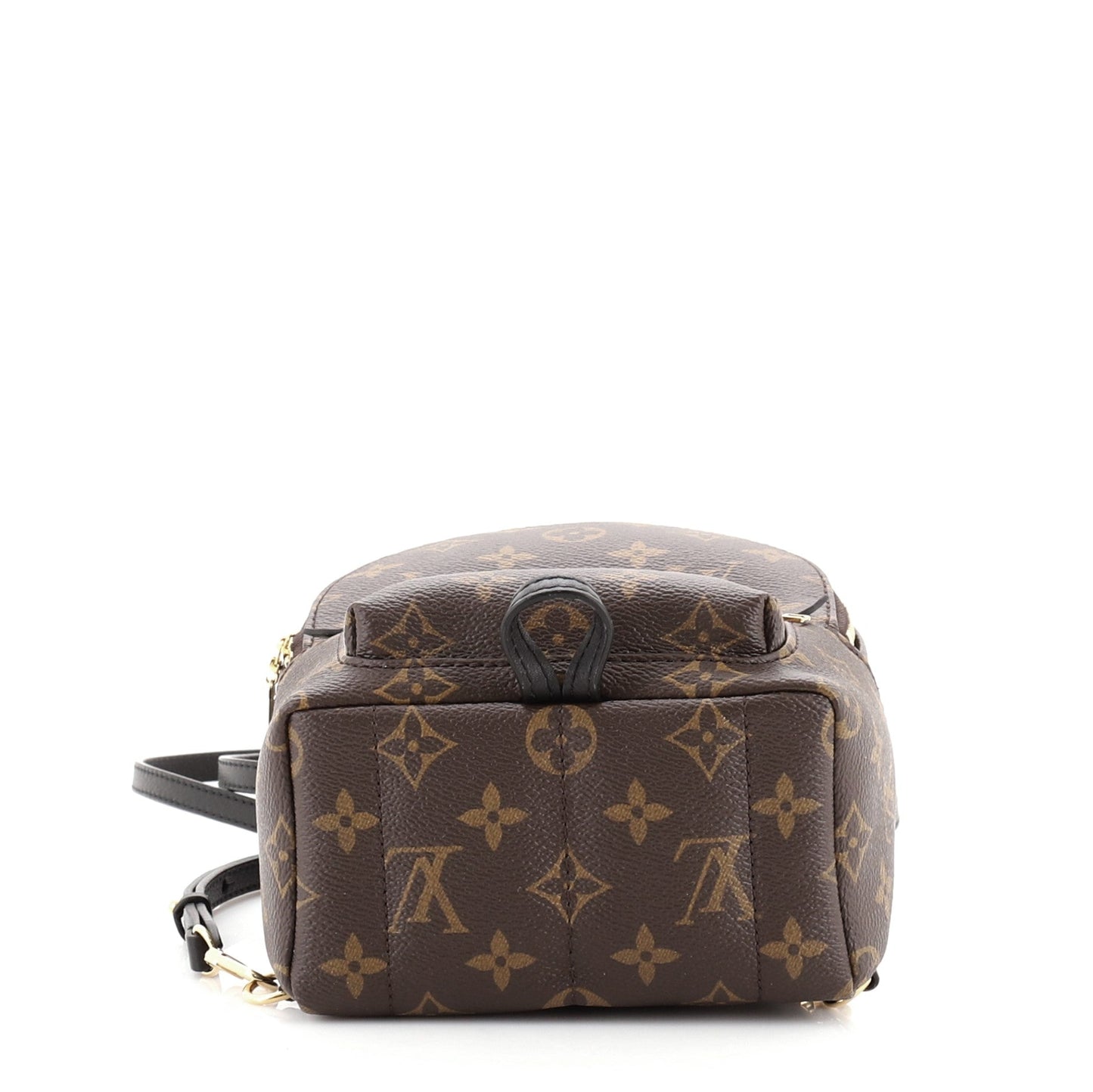 Palm Springs Backpack Monogram Canvas Mini