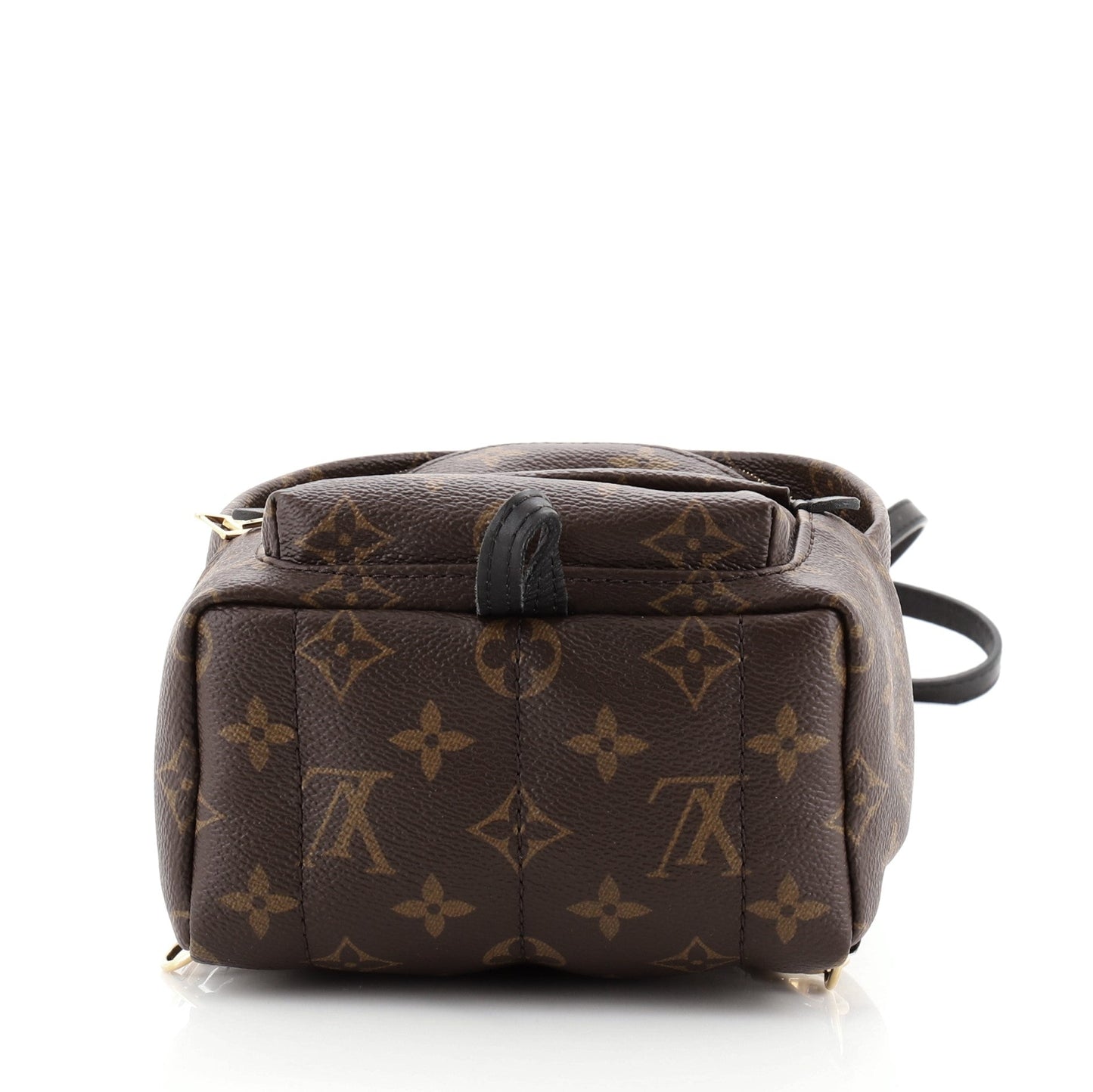 Palm Springs Backpack Monogram Canvas Mini