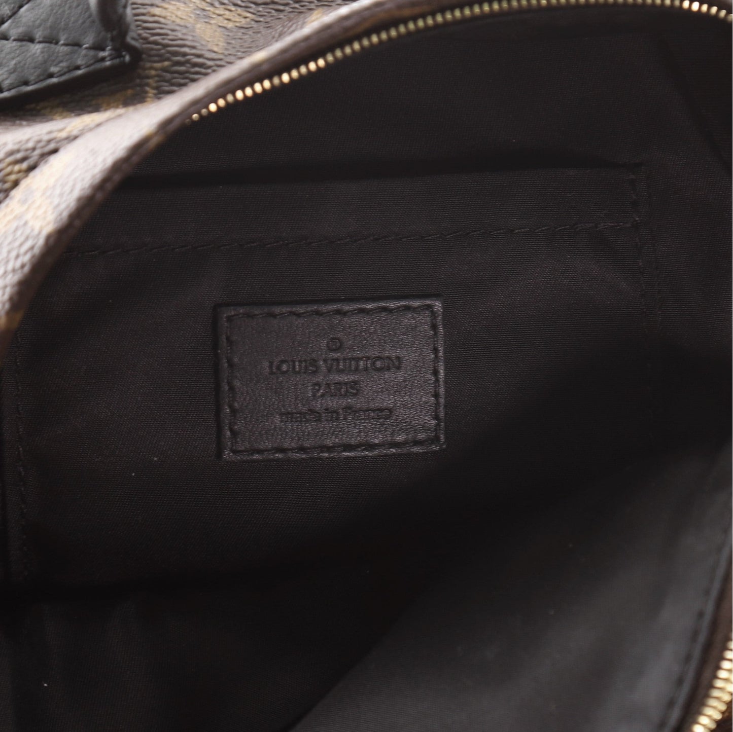 Palm Springs Backpack Monogram Canvas Mini