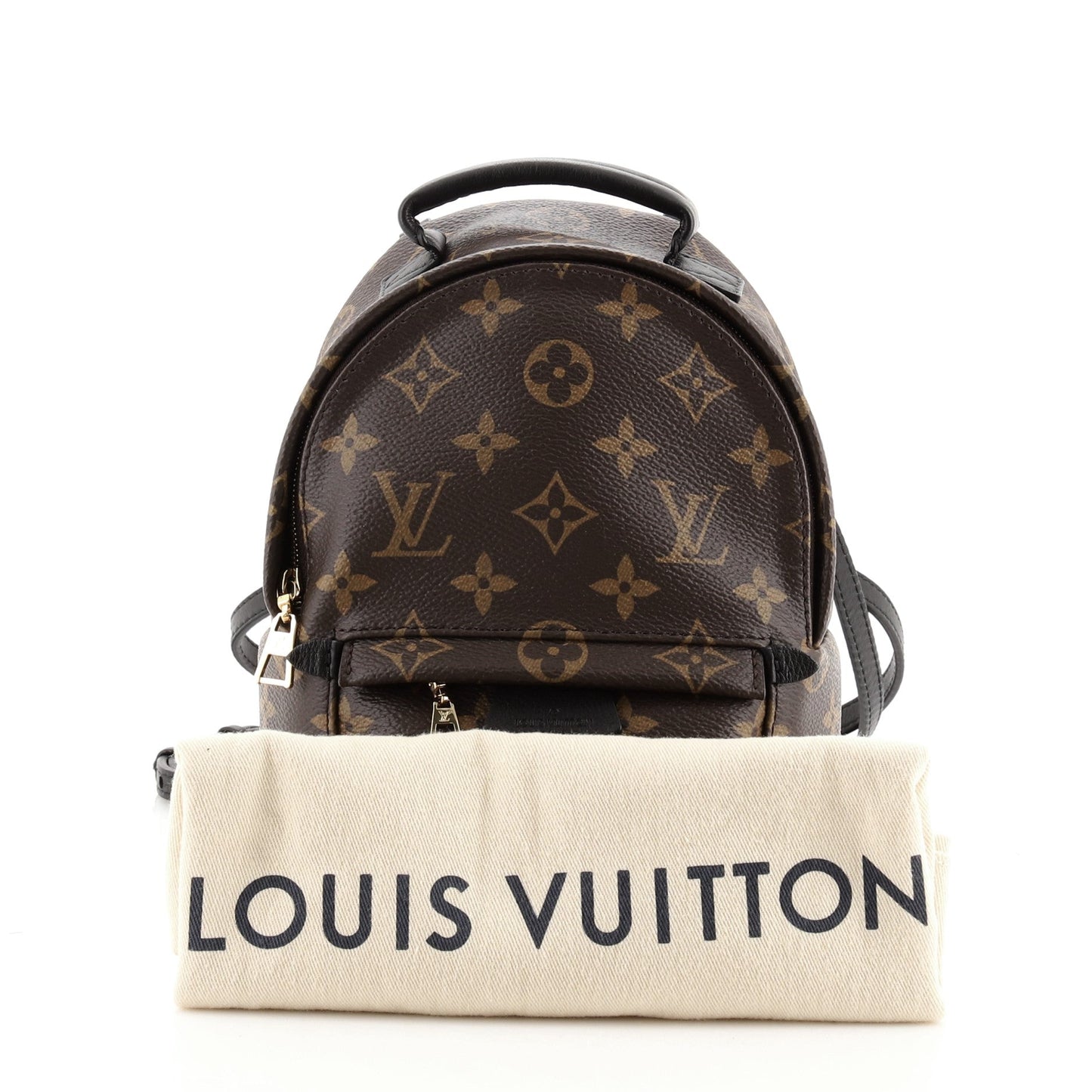 Palm Springs Backpack Monogram Canvas Mini