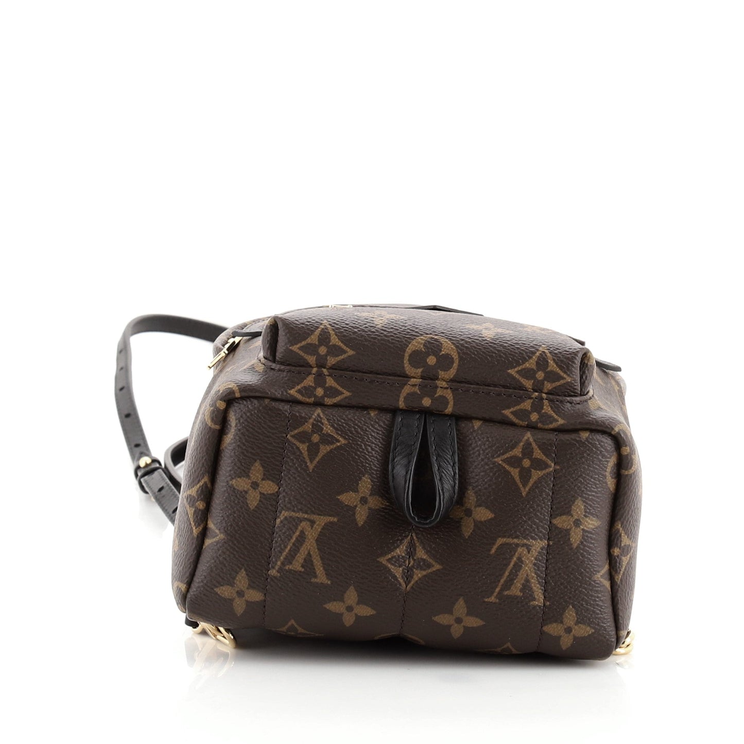 Palm Springs Backpack Monogram Canvas Mini