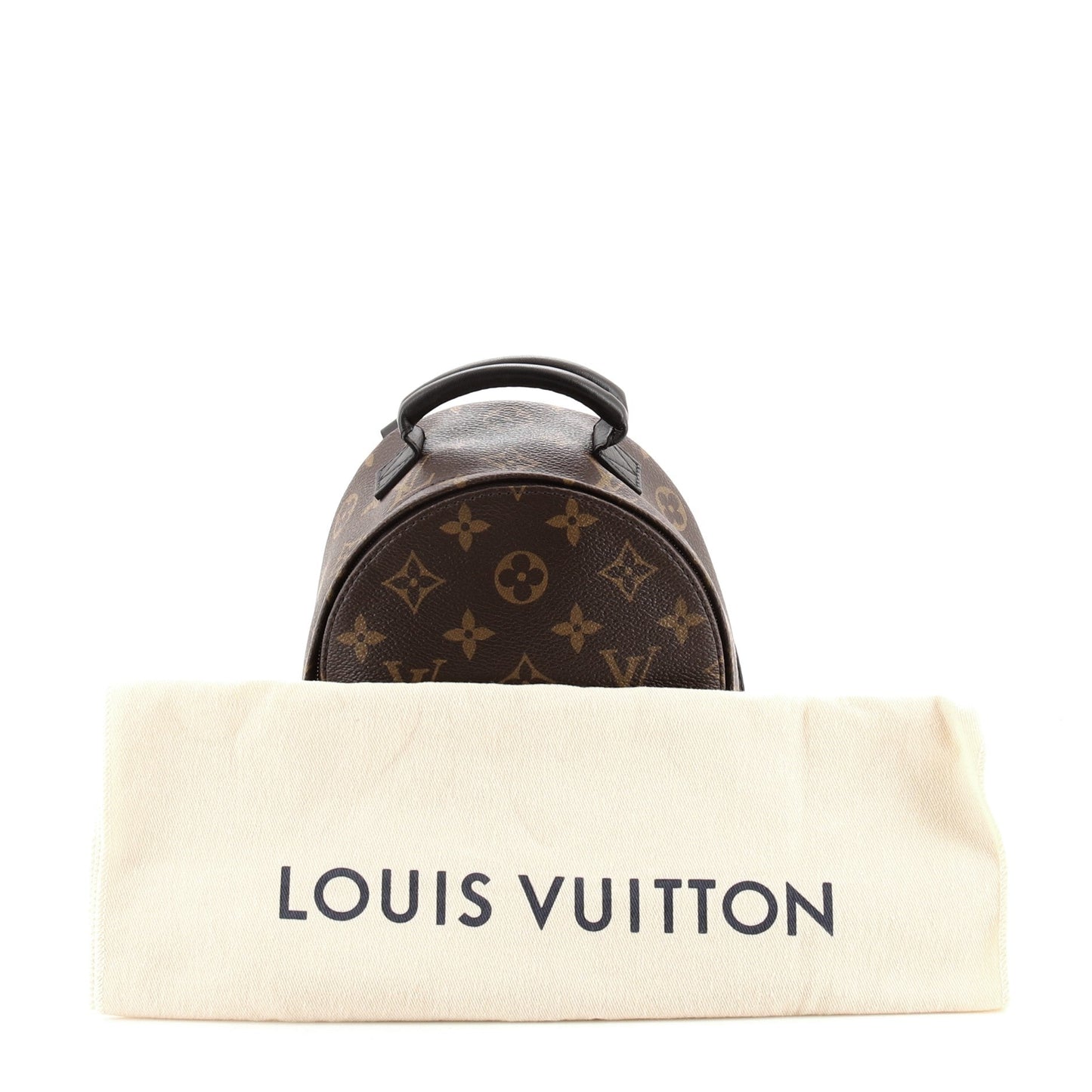 Palm Springs Backpack Monogram Canvas Mini