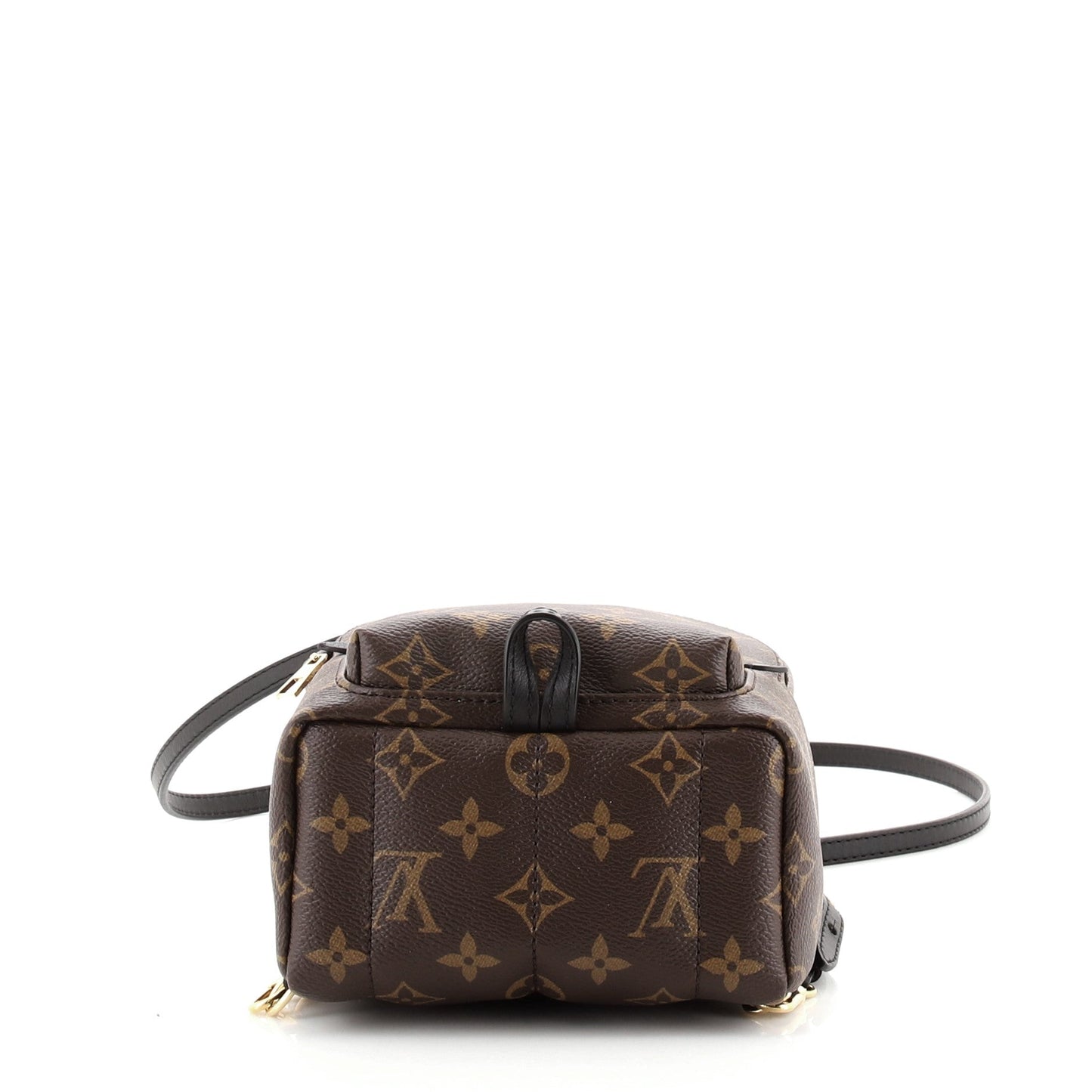 Palm Springs Backpack Monogram Canvas Mini