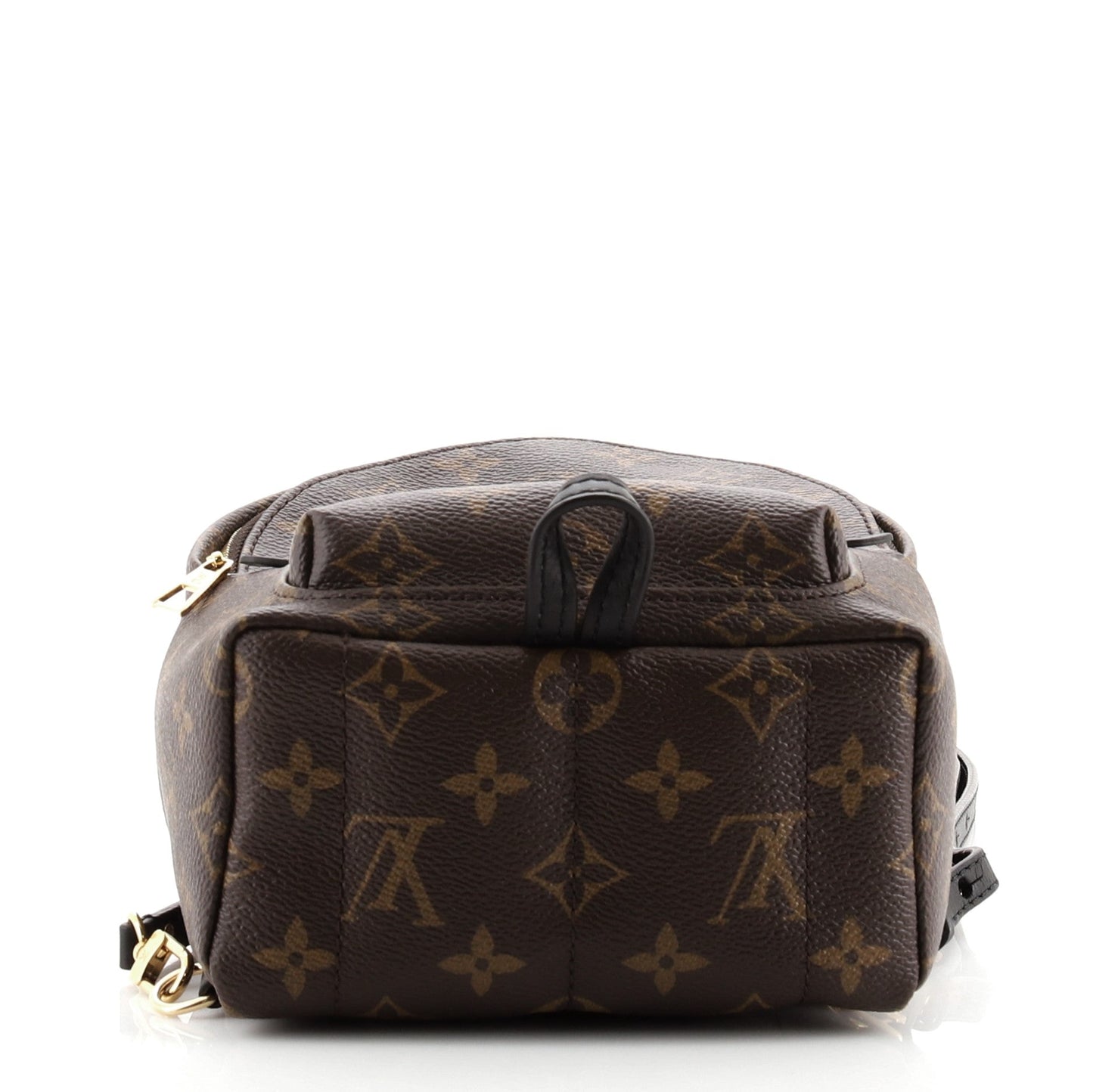 Palm Springs Backpack Monogram Canvas Mini