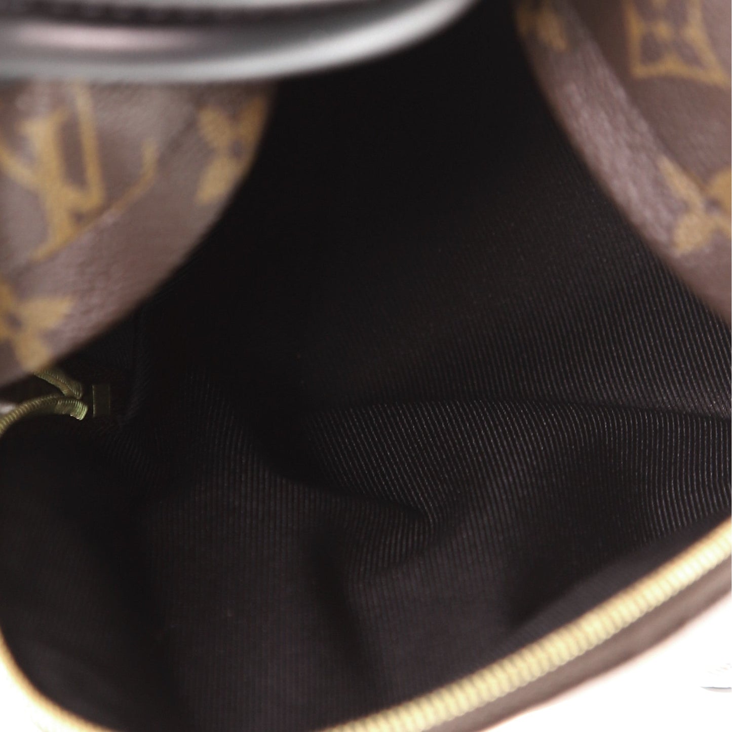 Palm Springs Backpack Monogram Canvas Mini