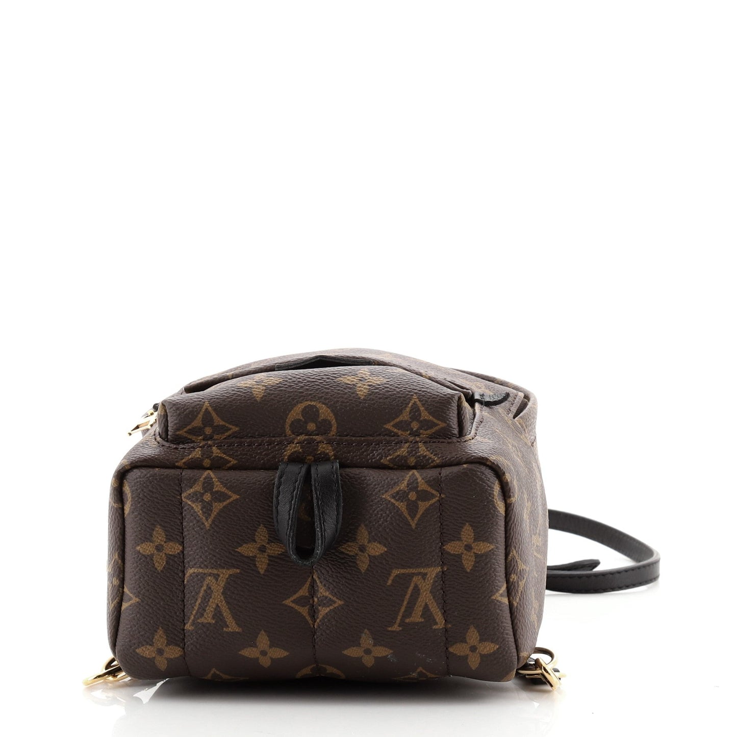 Palm Springs Backpack Monogram Canvas Mini