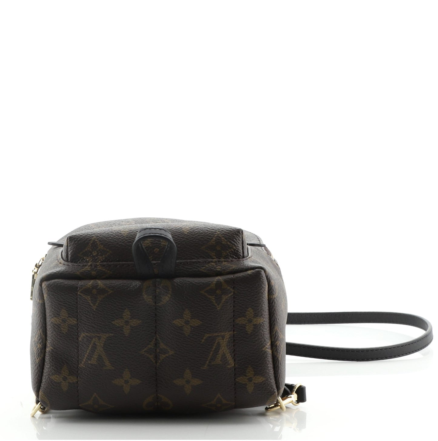 Palm Springs Backpack Monogram Canvas Mini
