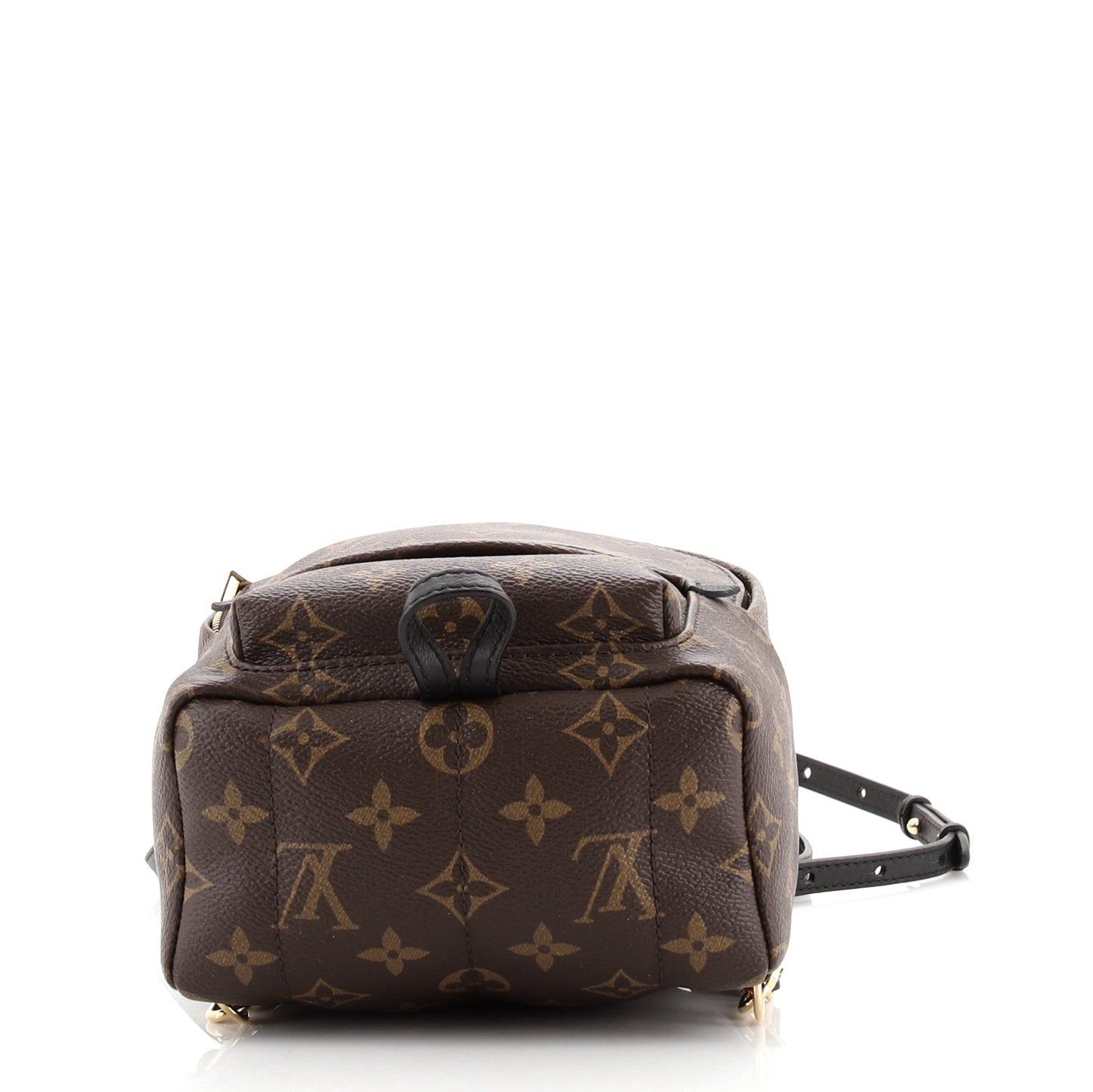 Palm Springs Backpack Monogram Canvas Mini