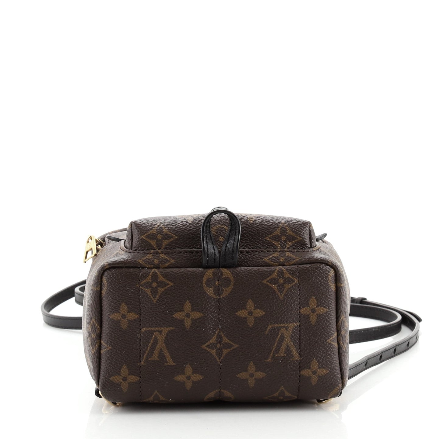 Palm Springs Backpack Monogram Canvas Mini