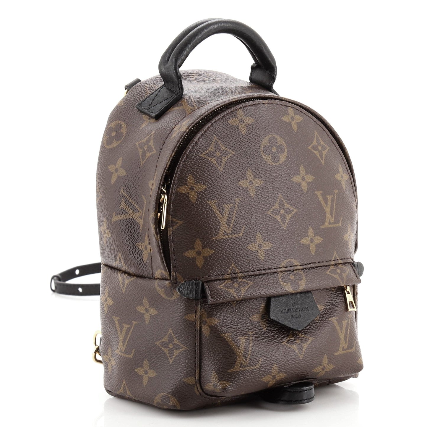 Palm Springs Backpack Monogram Canvas Mini
