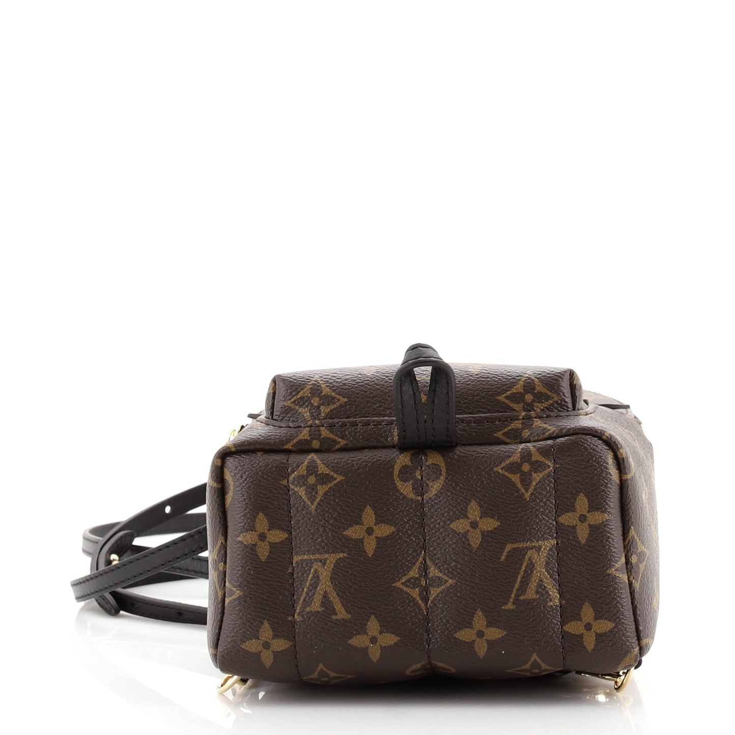 Palm Springs Backpack Monogram Canvas Mini