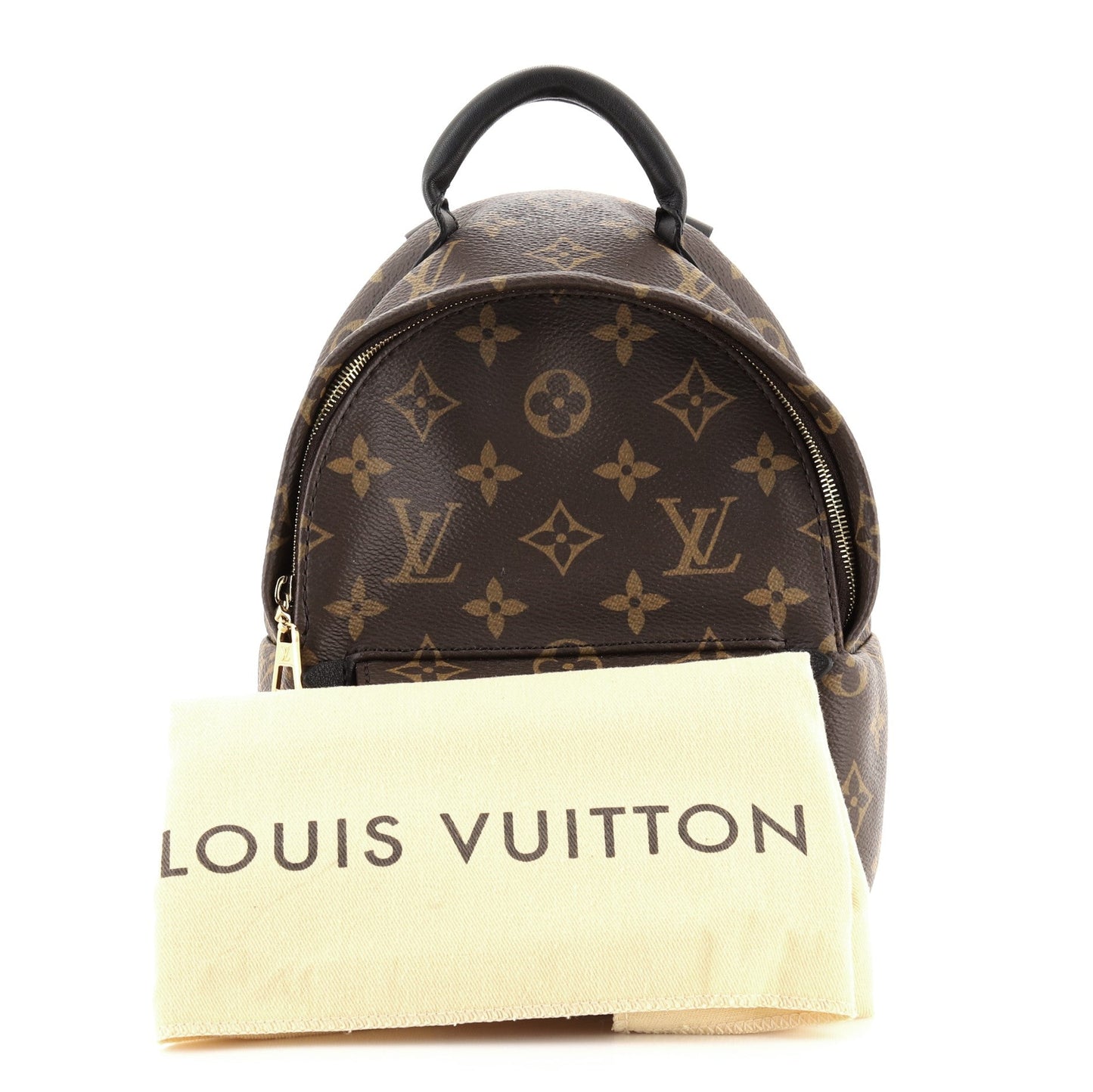 Palm Springs Backpack Monogram Canvas Mini